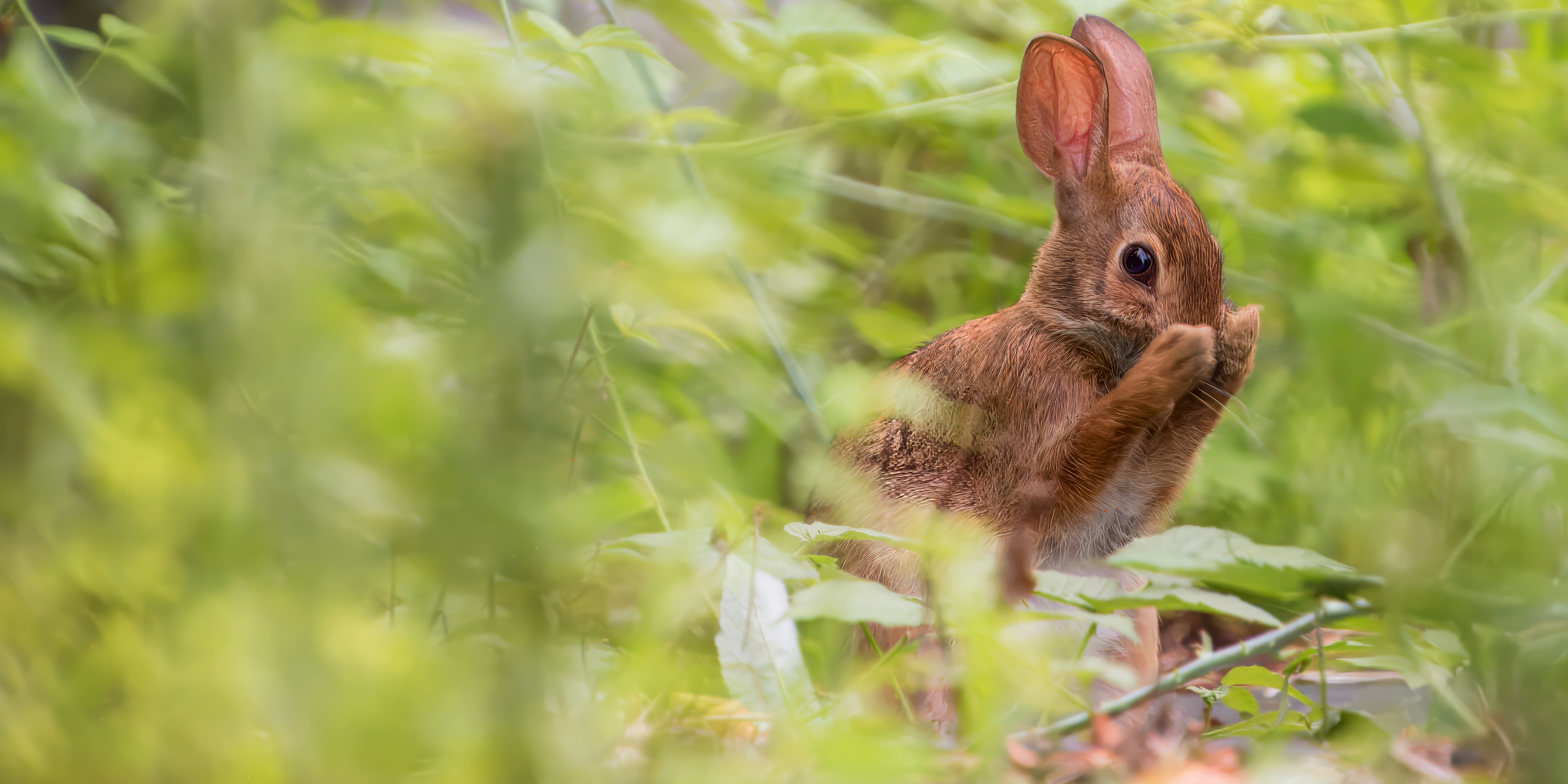 Photo by nh_landscapes