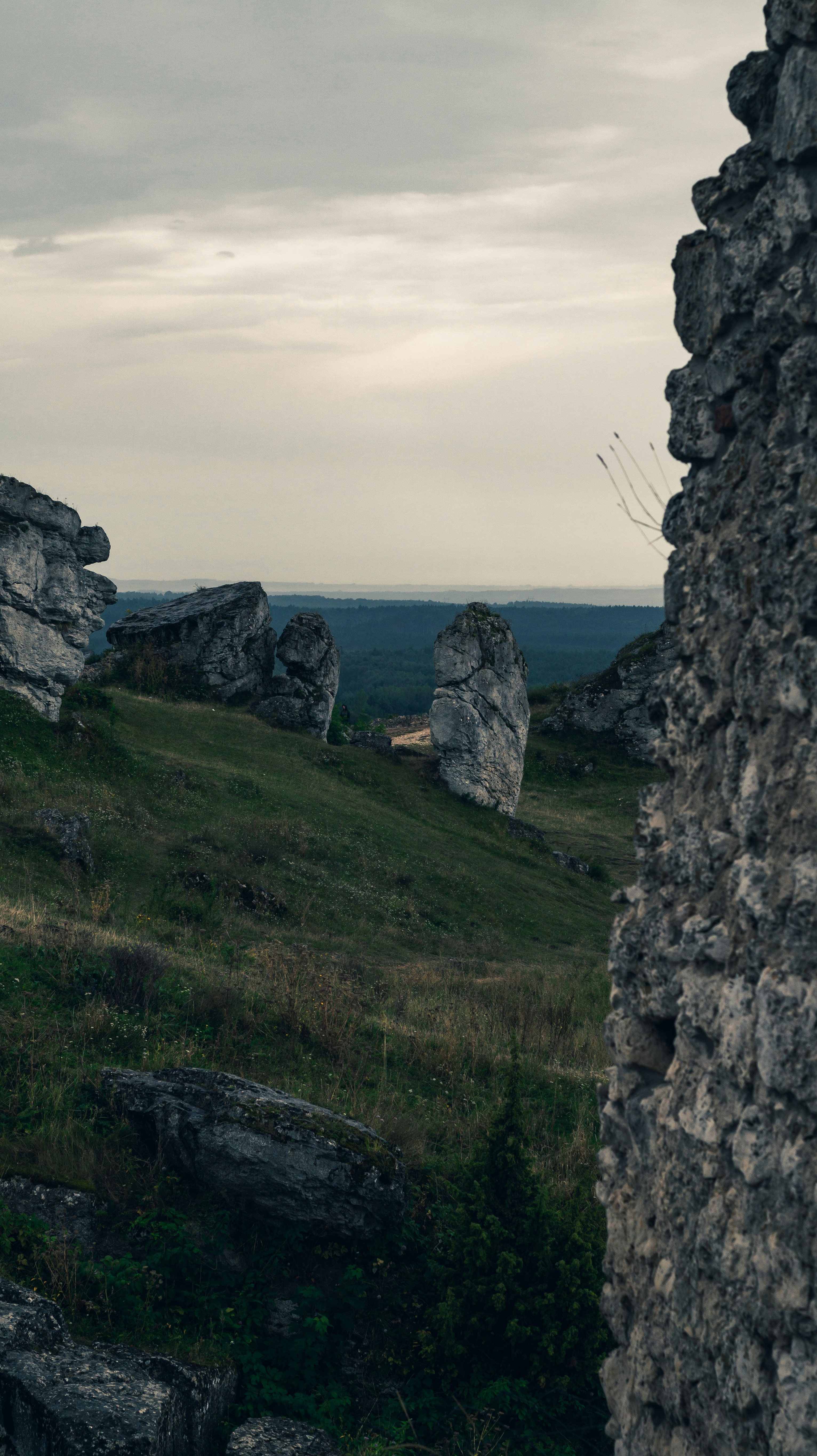 Photo by sprucejpg