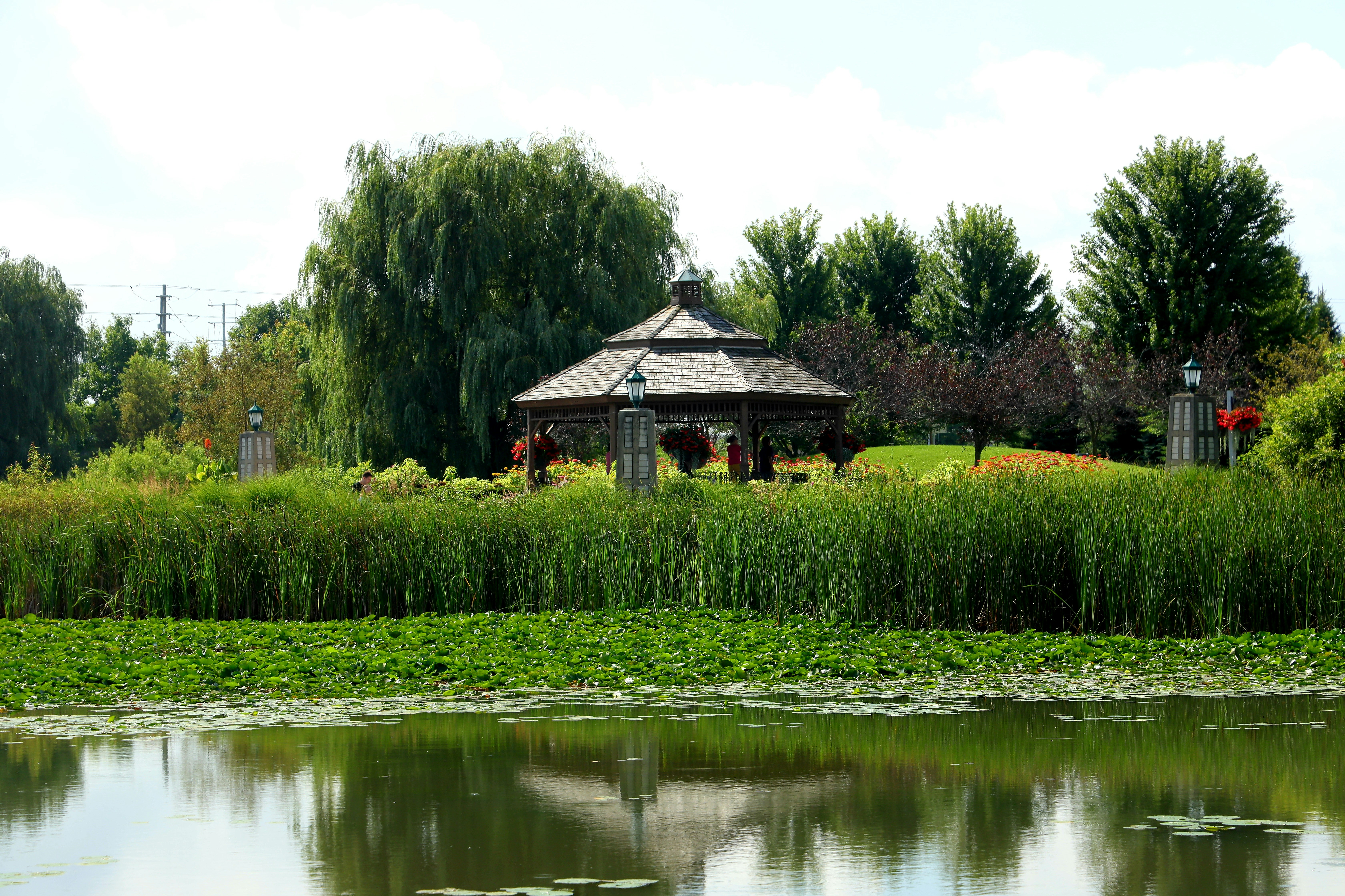 Photo by richardworks