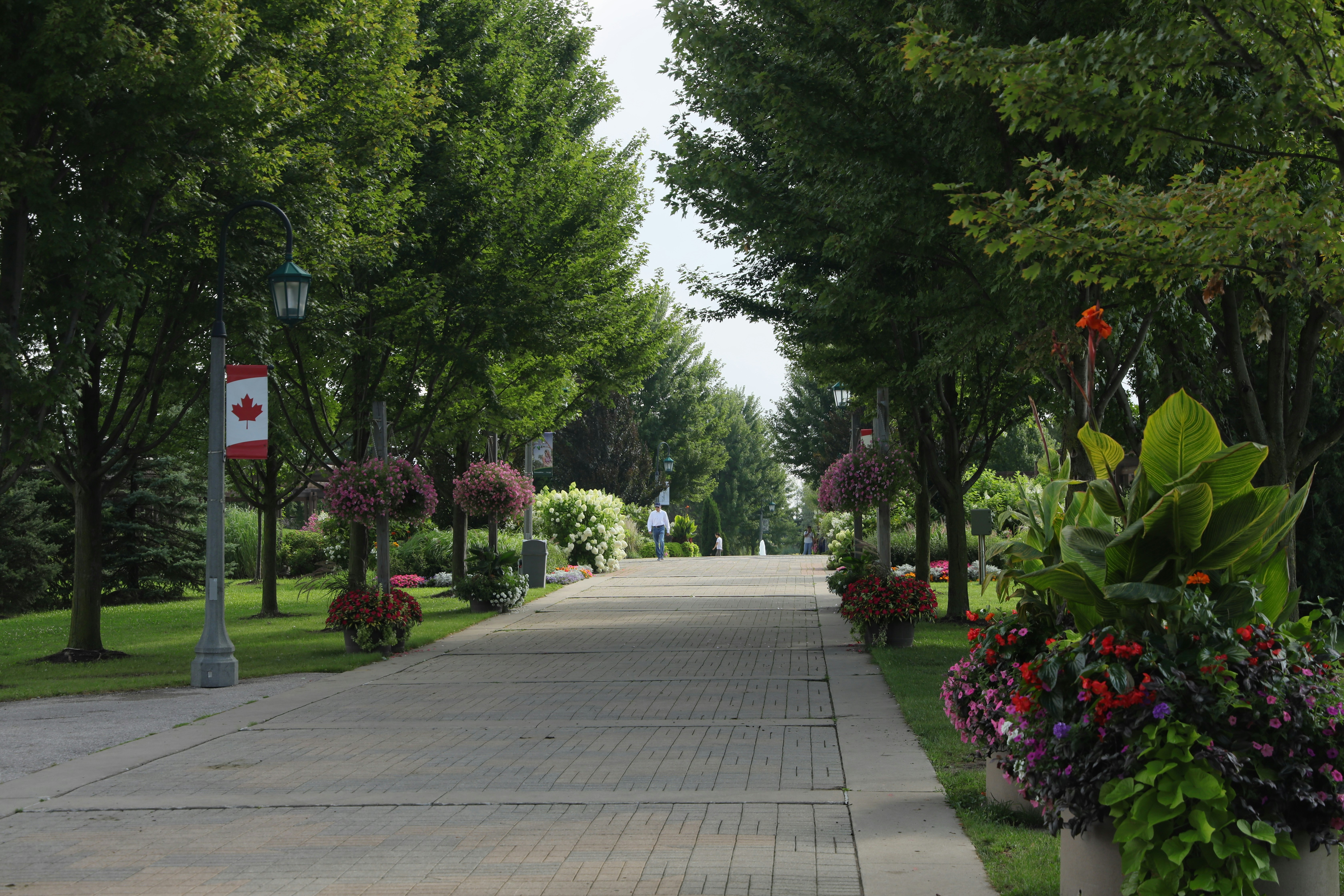 Photo by richardworks