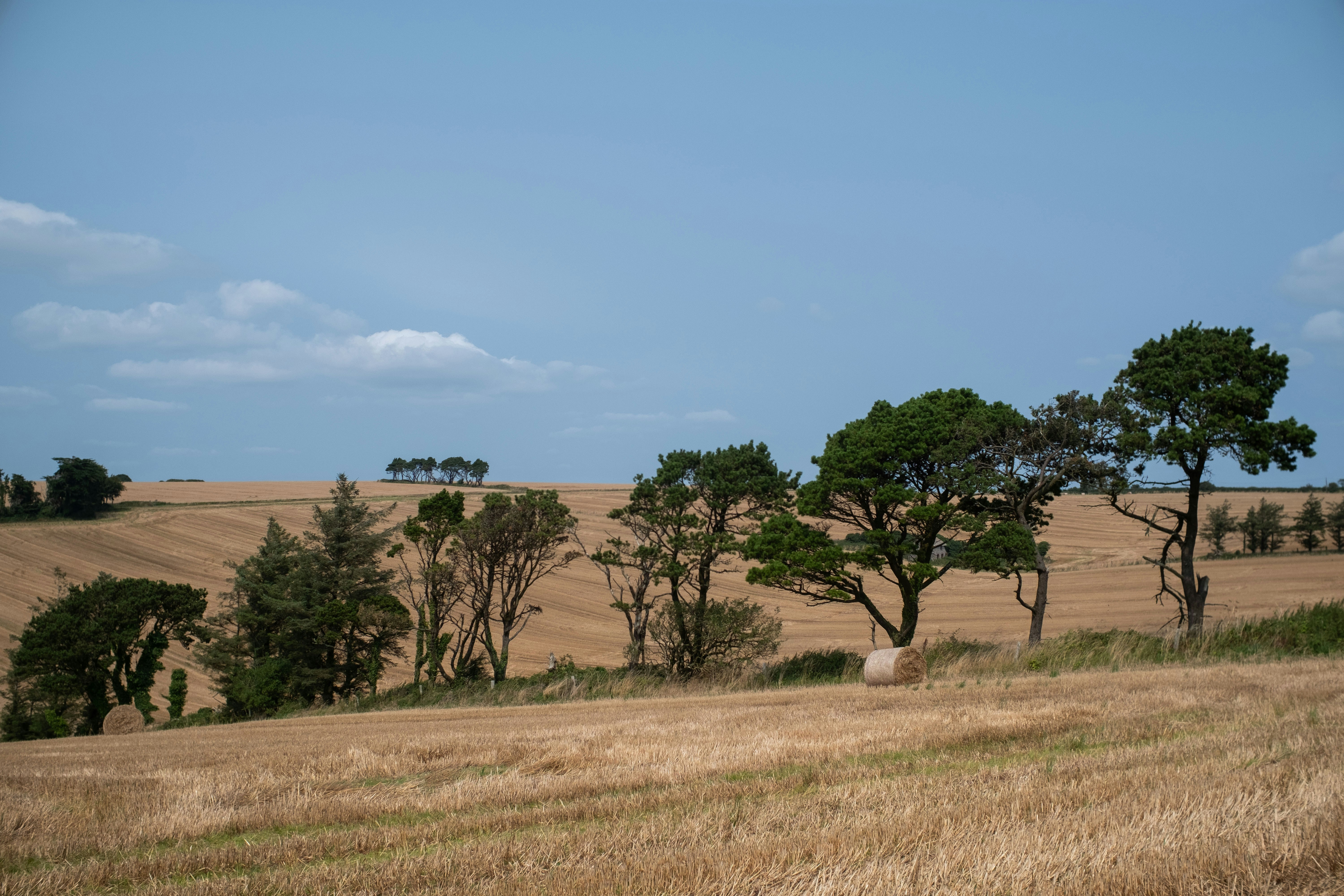 Photo by veronicaa_white