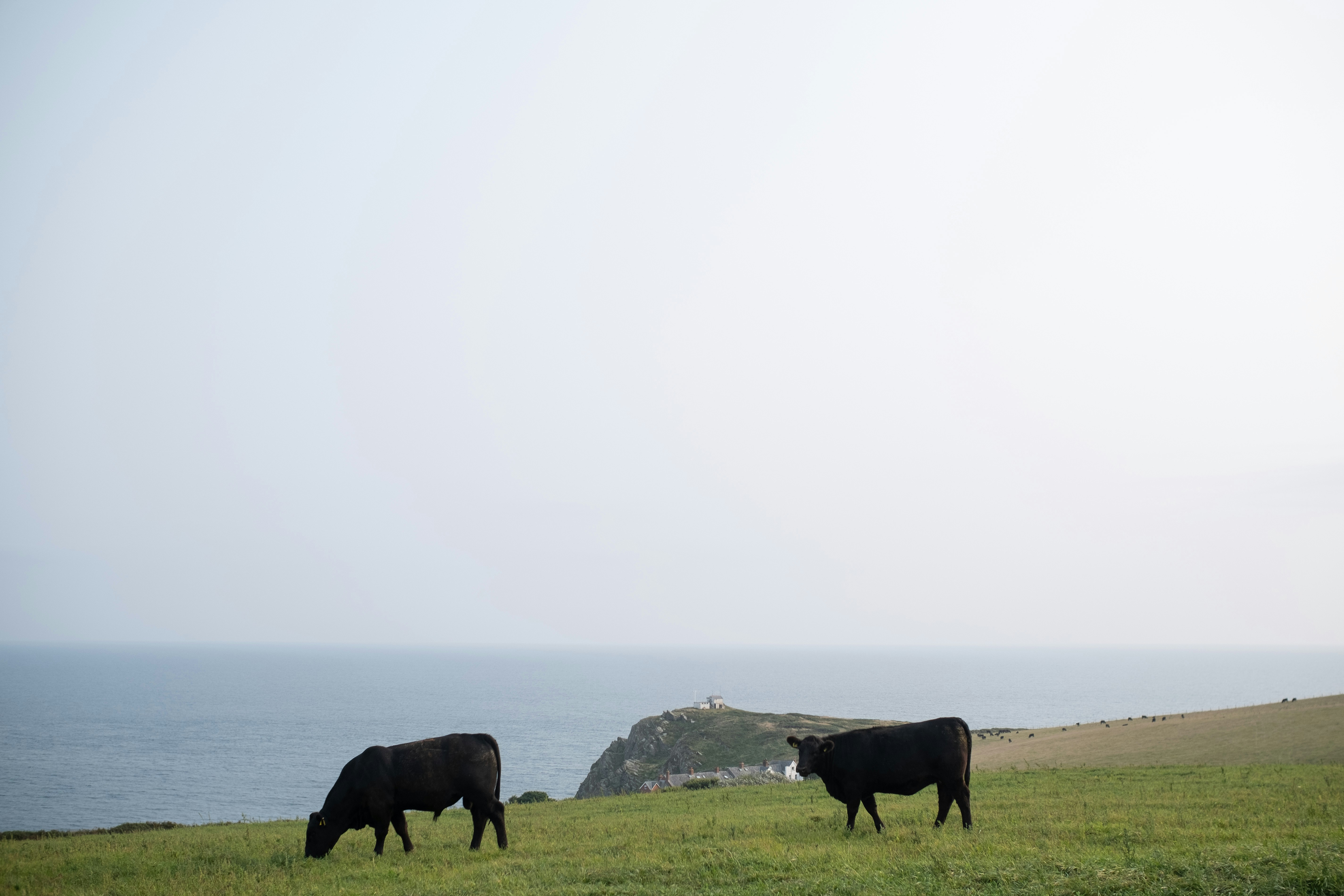 Photo by veronicaa_white