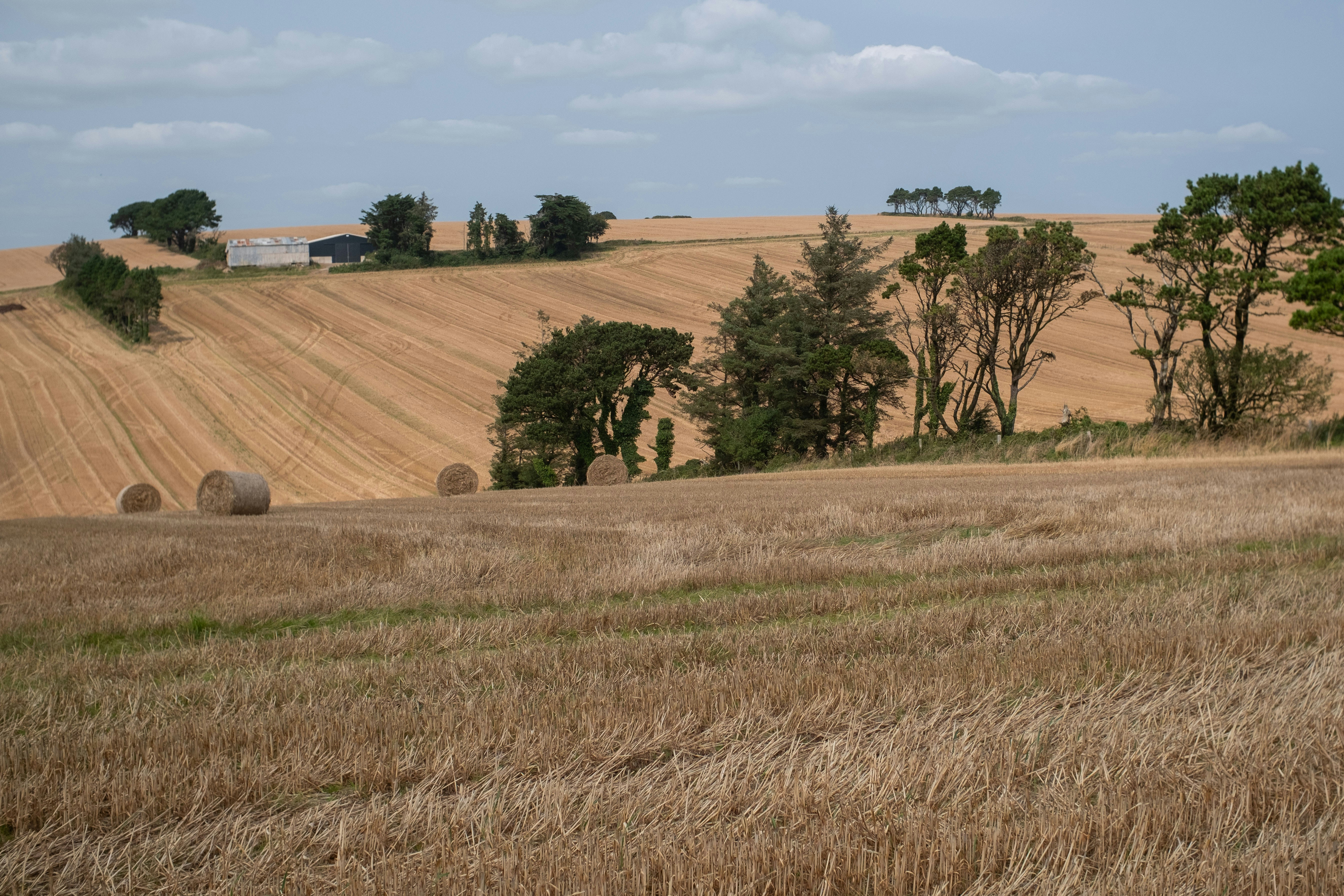 Photo by veronicaa_white