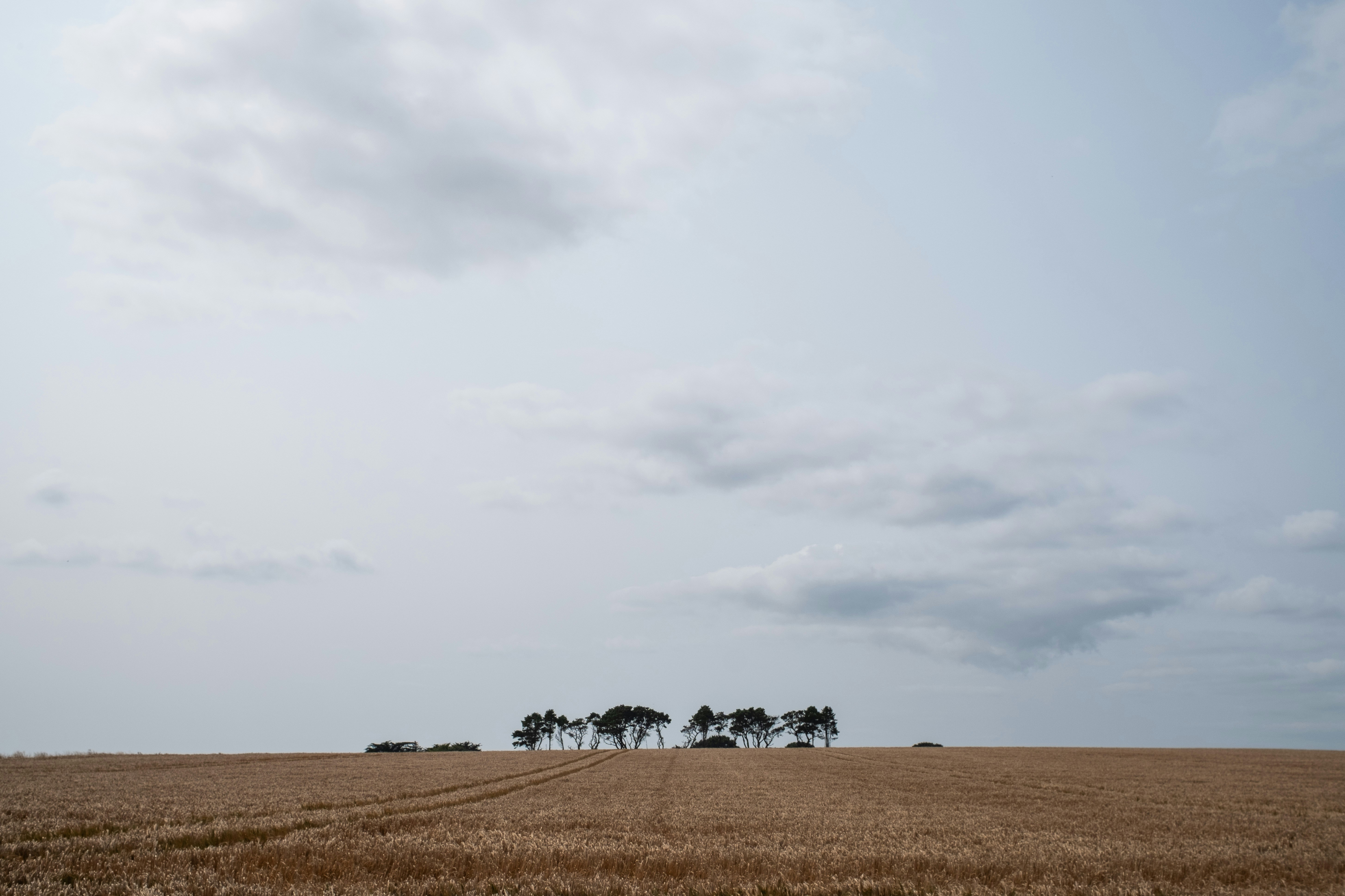 Photo by veronicaa_white