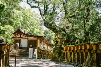 A group of benches sitting in the middle of a park