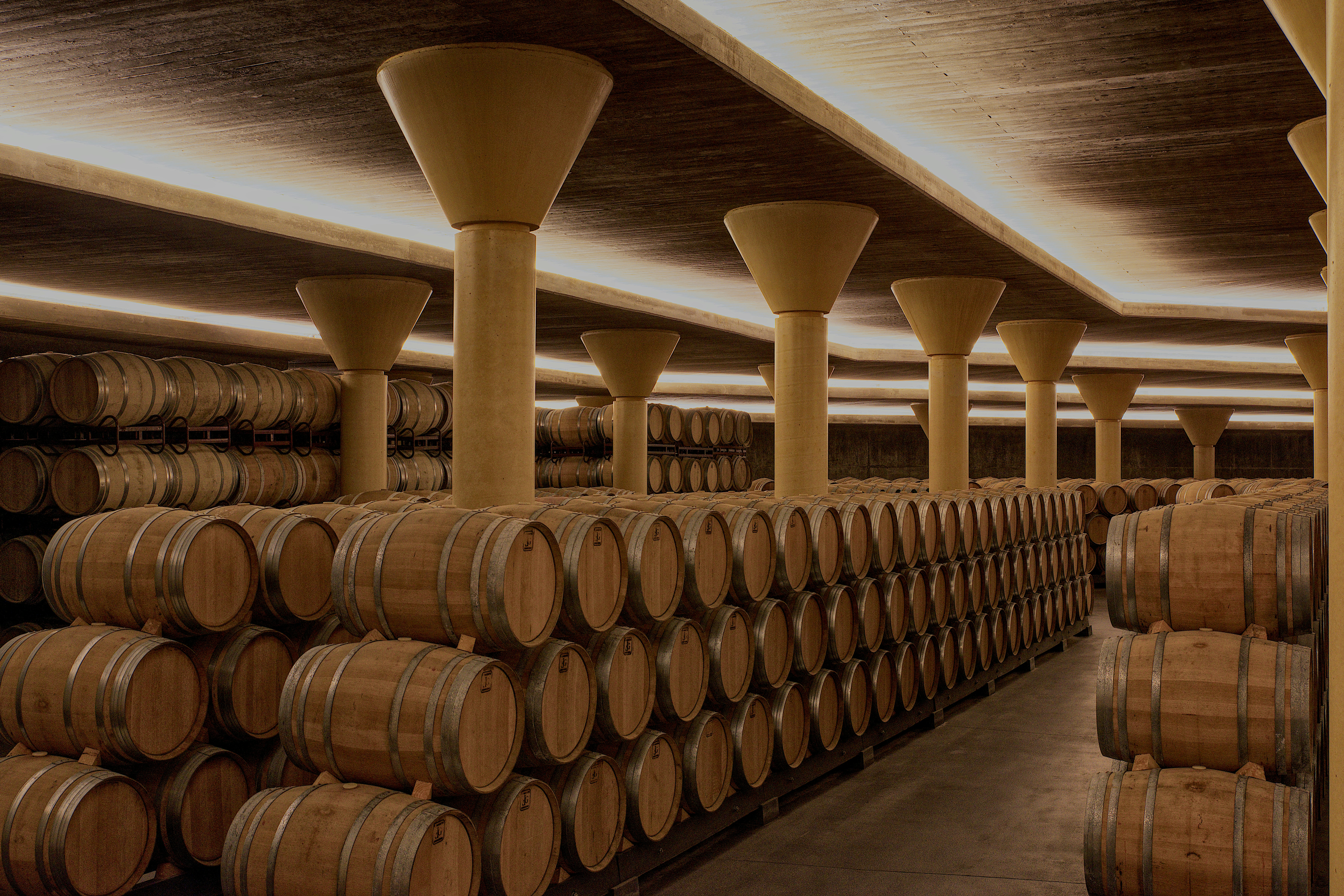 A room filled with lots of wooden barrels