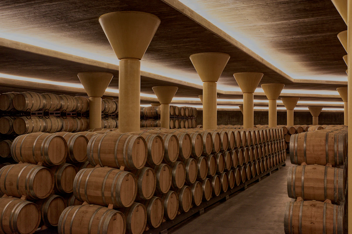 Dégustation dans les chais de Saint-Émilion — photo 2