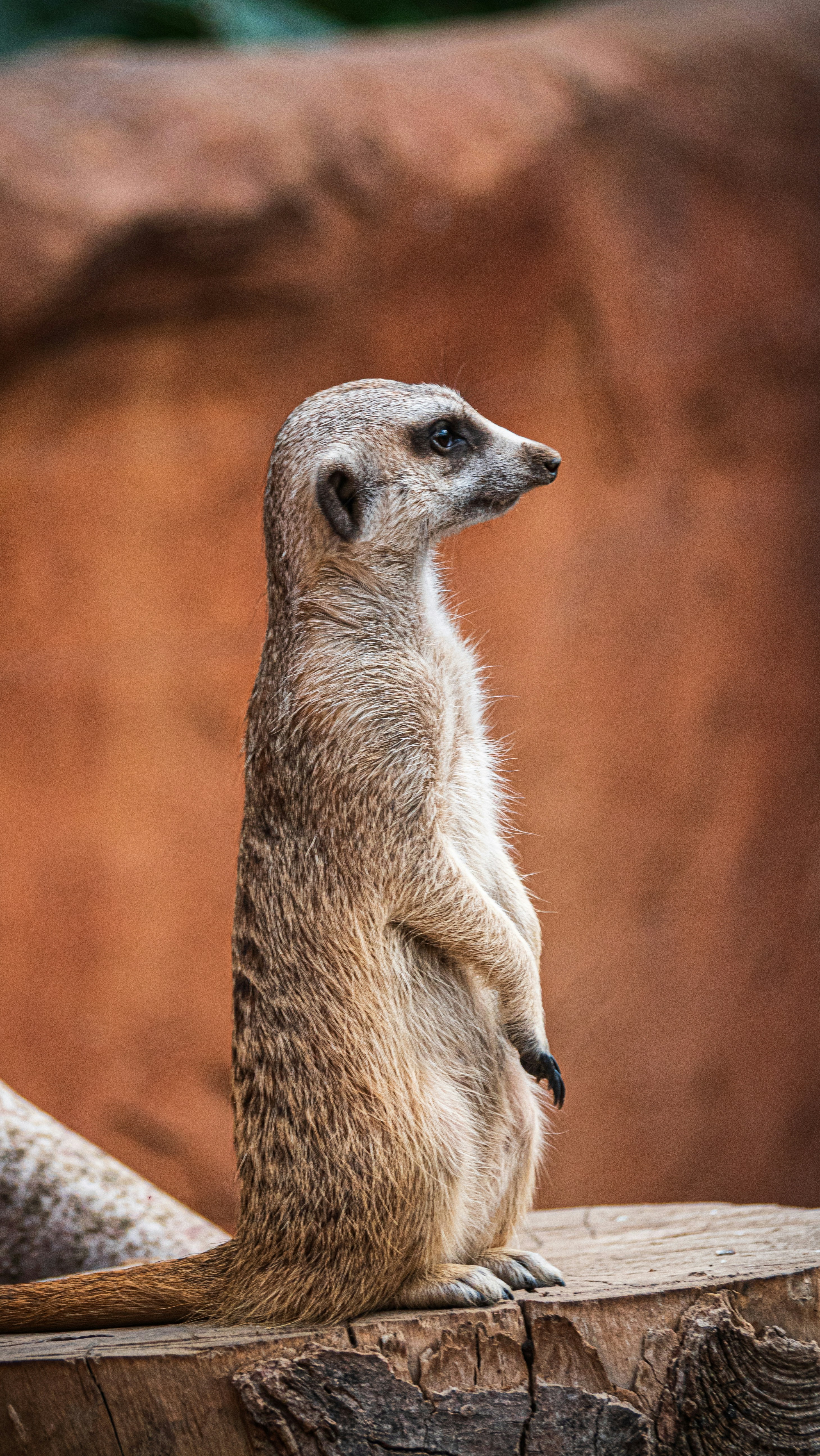 Photo by guillaumechabrol