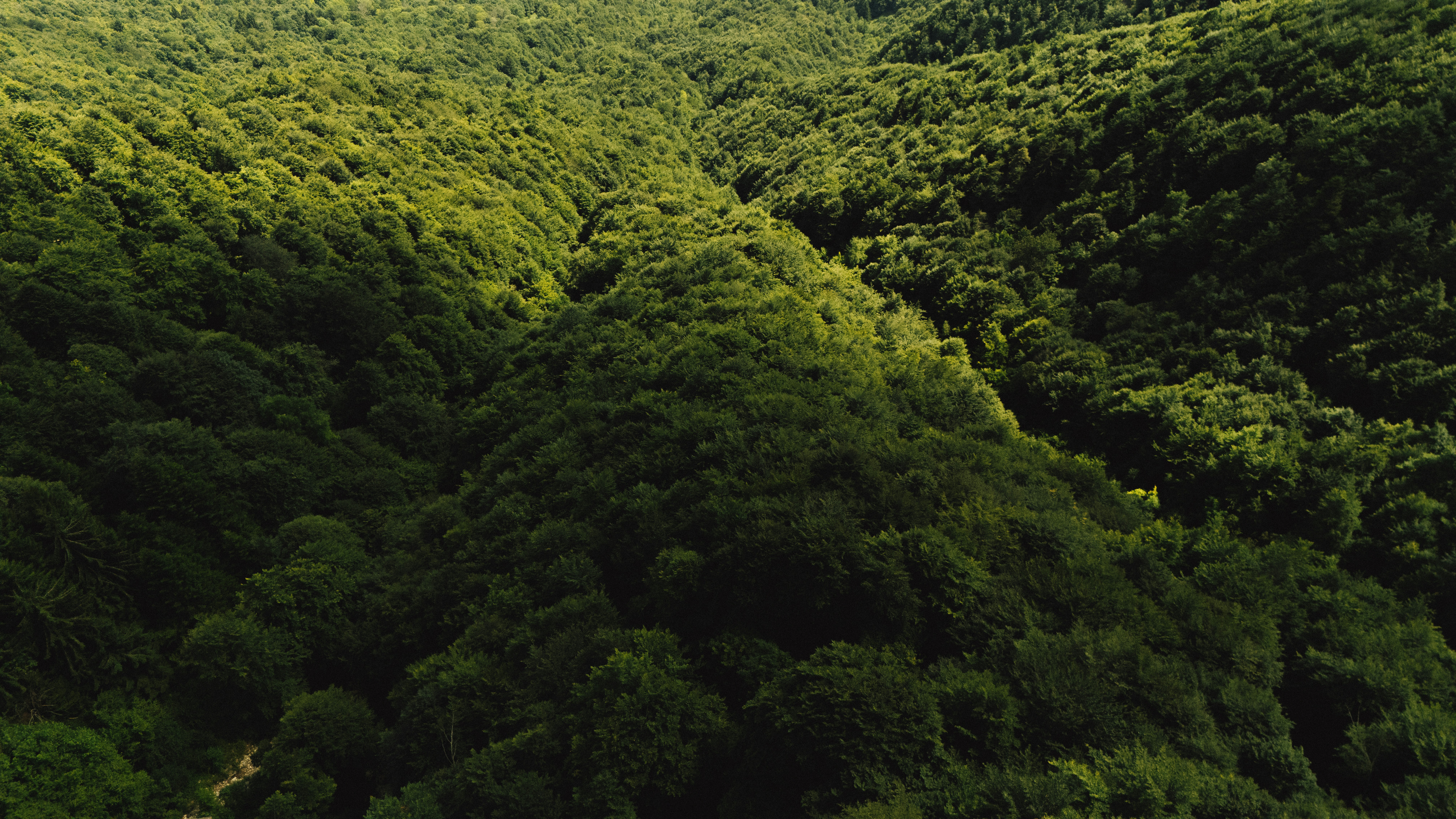 Photo by edoardo_cuoghi_98