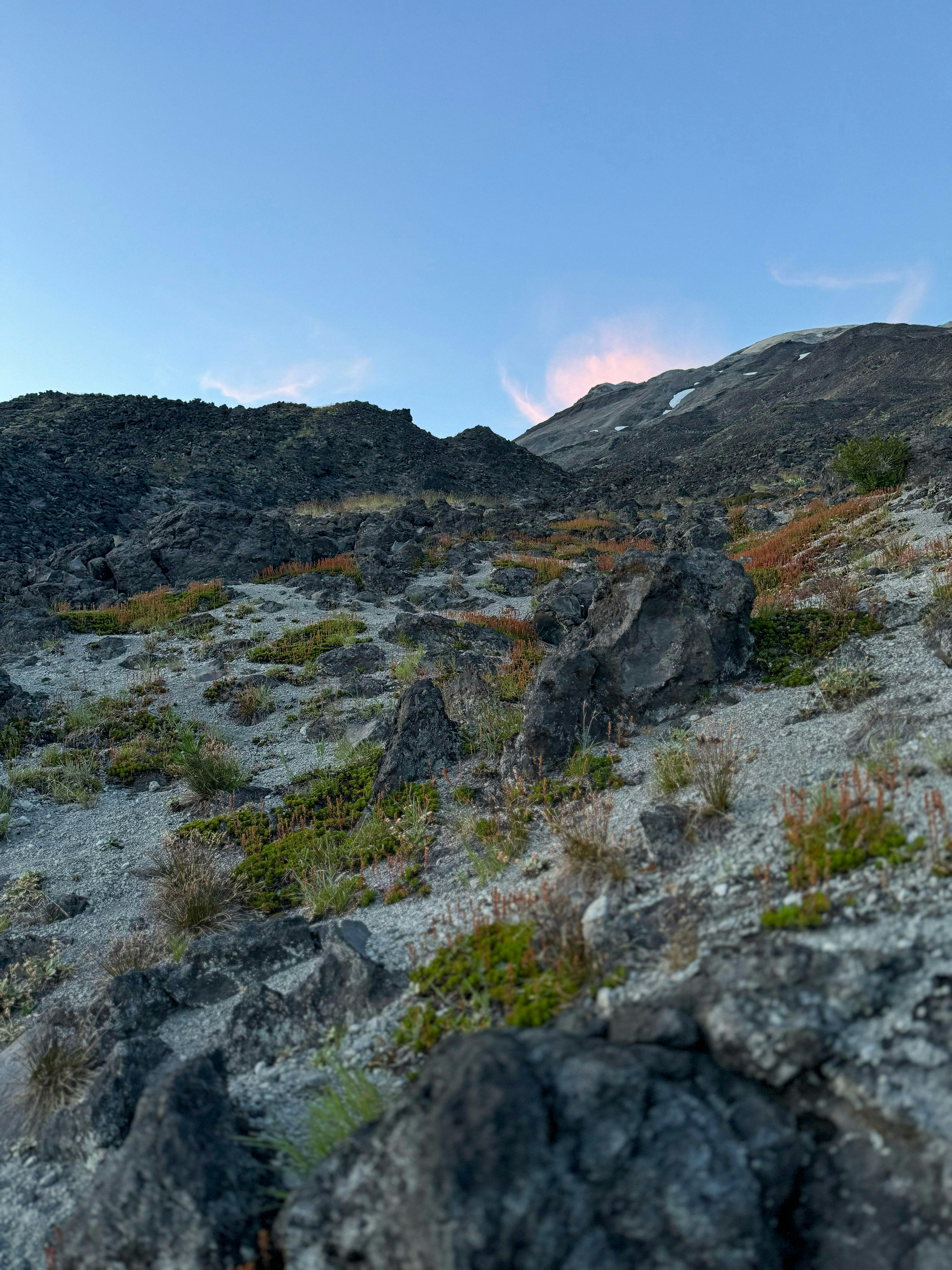 Photo by kamerondesign