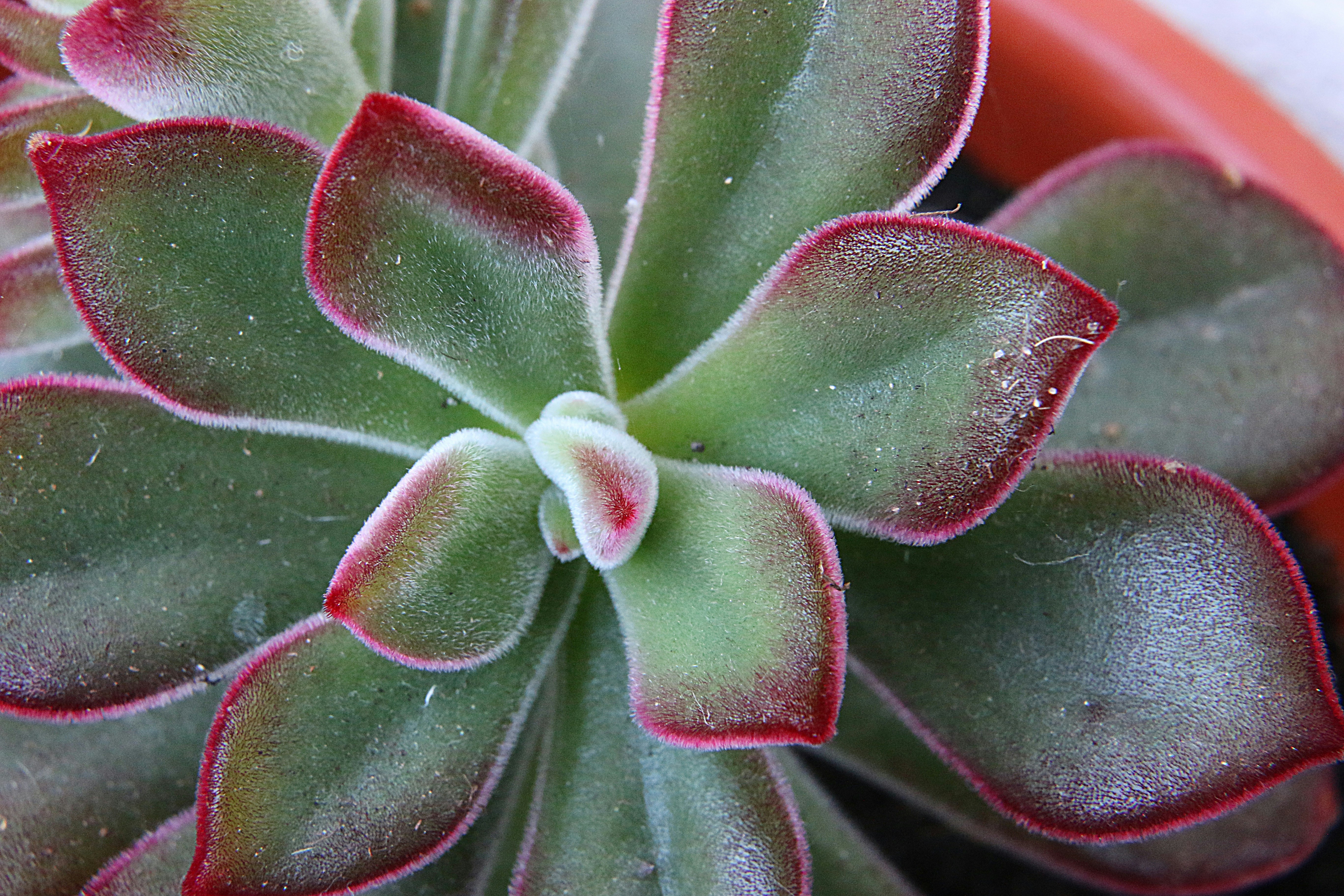 Photo by serranonline