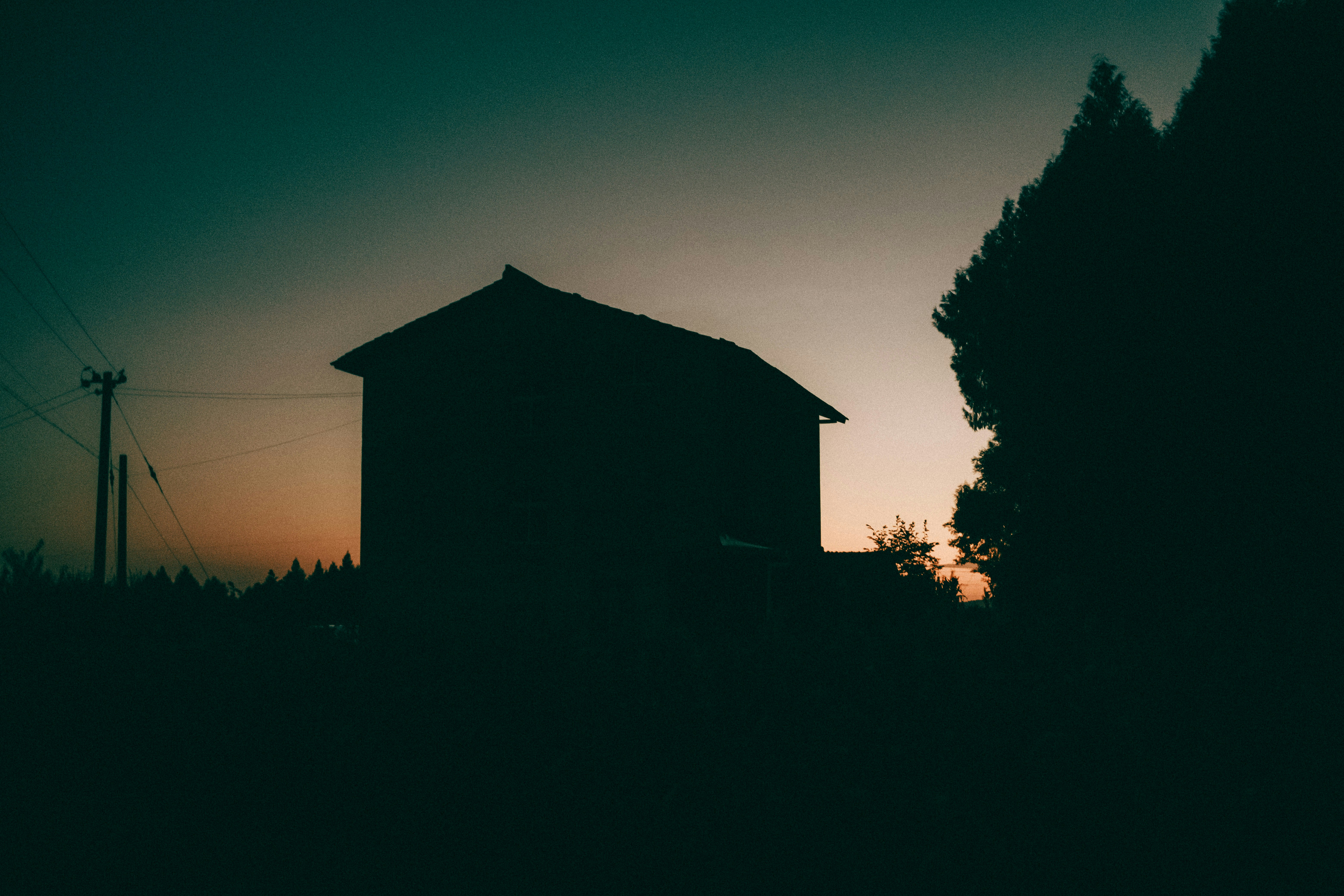 Photo by xingchenyan