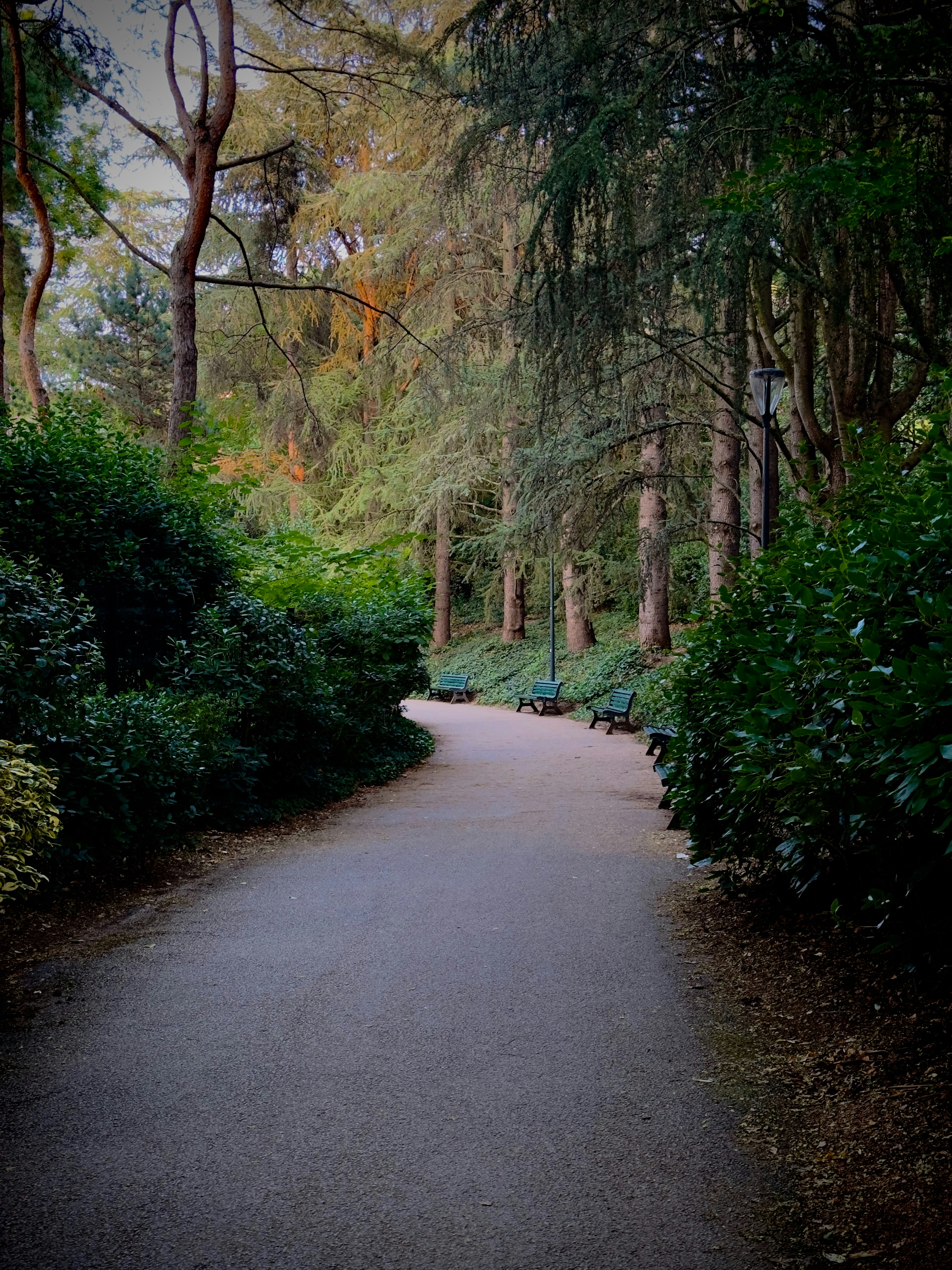 Photo by thomasmccarron