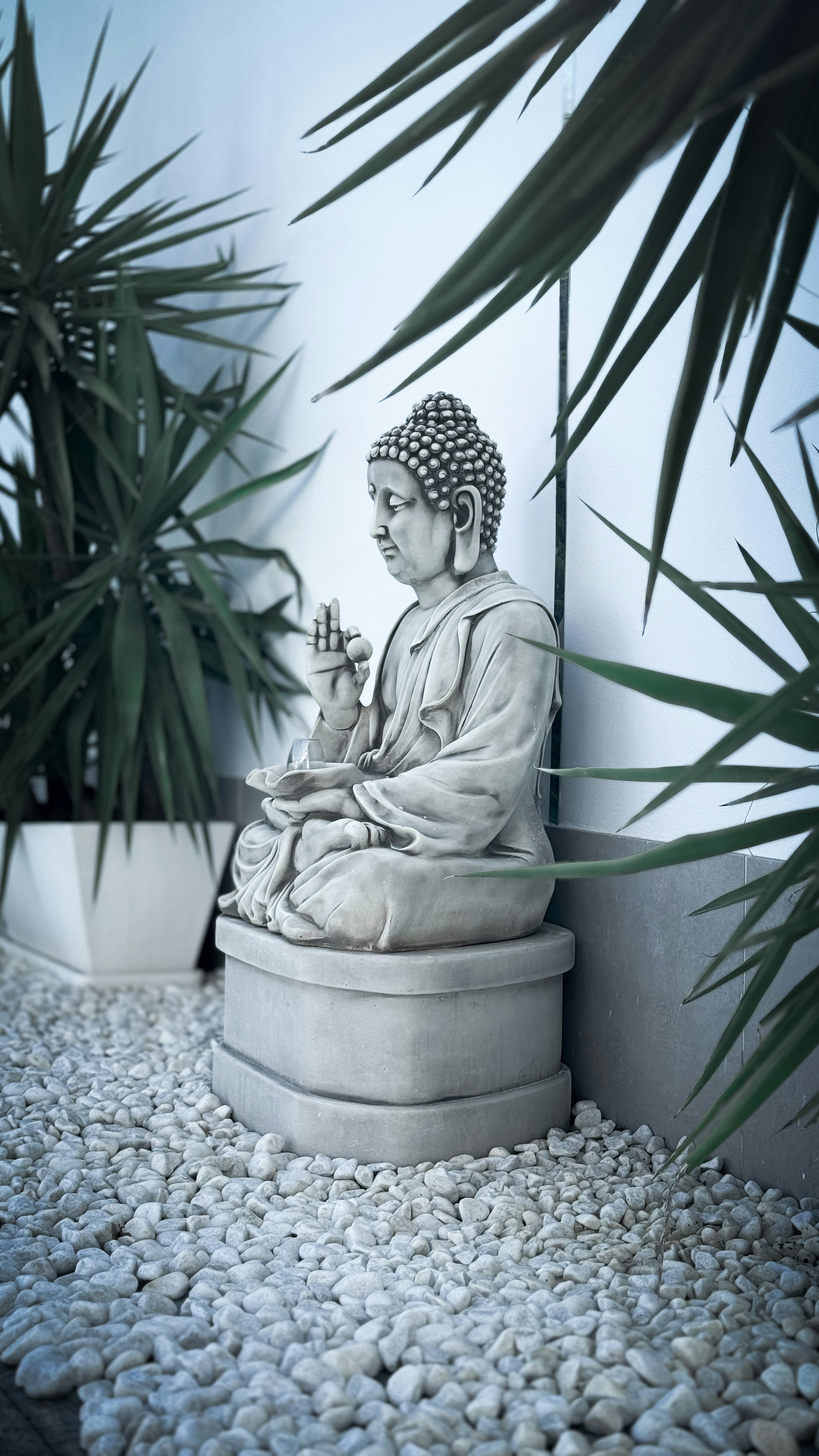 Photo by andreaminguezclaus