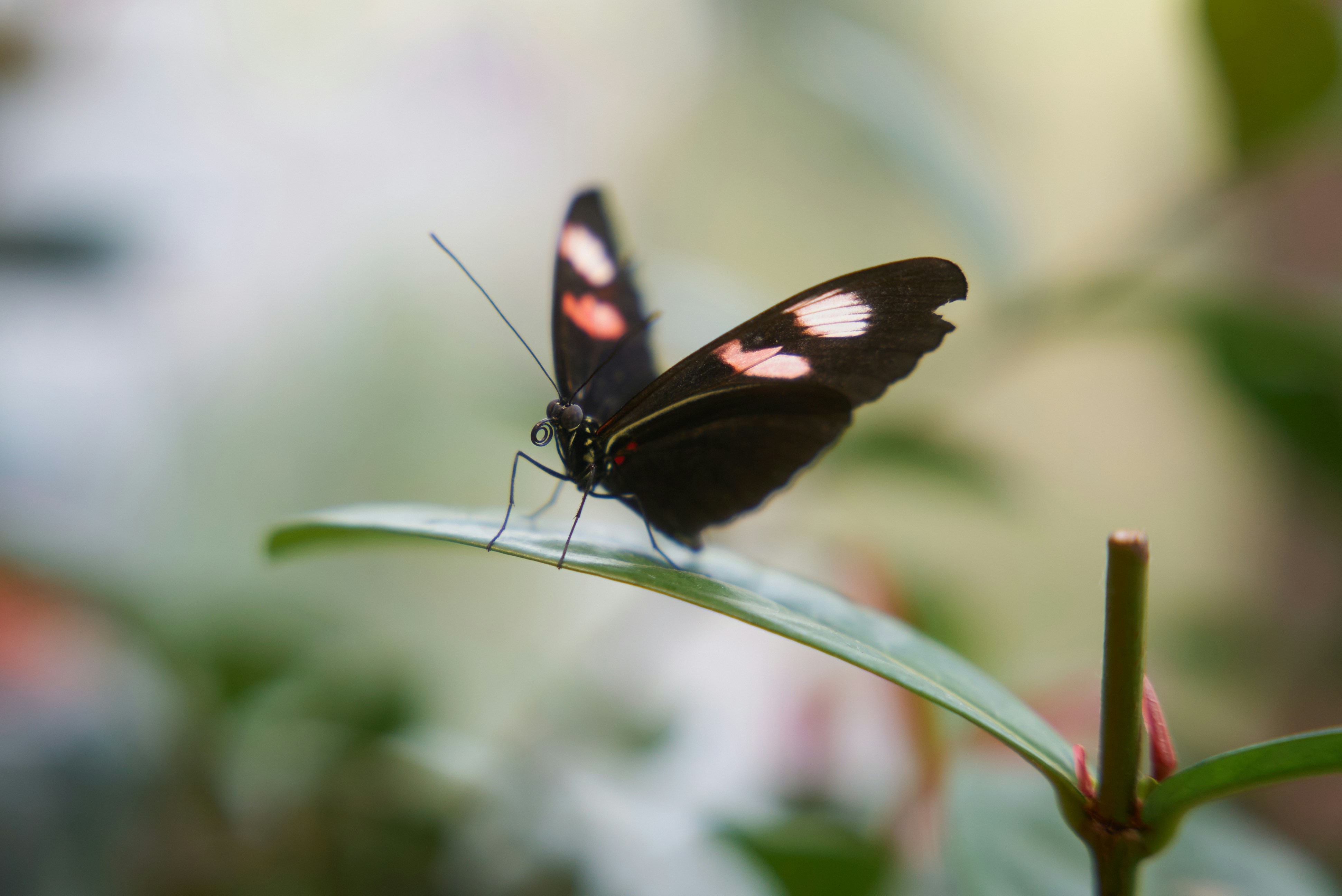 Photo by norajanelong