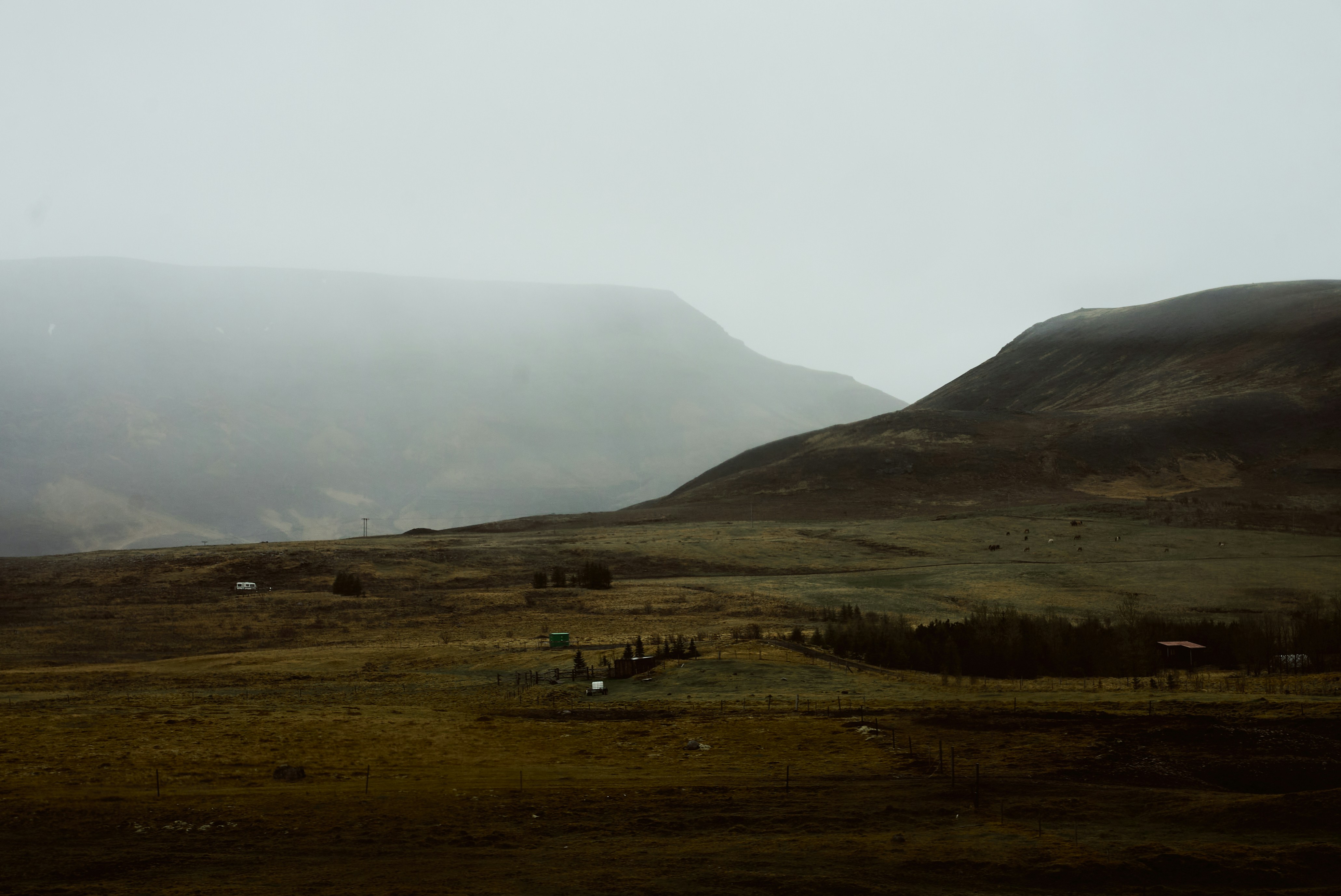 Photo by norajanelong