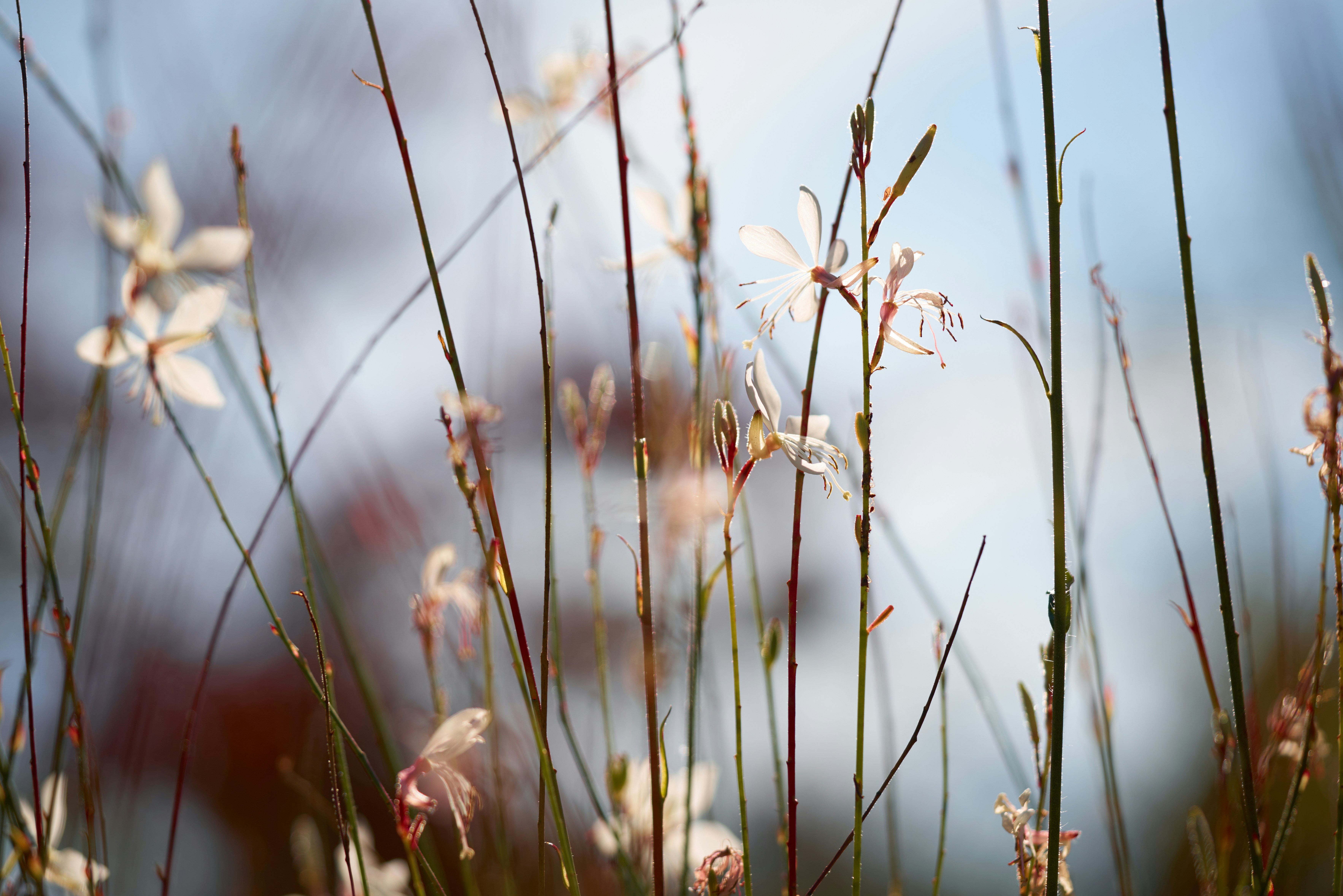 Photo by norajanelong