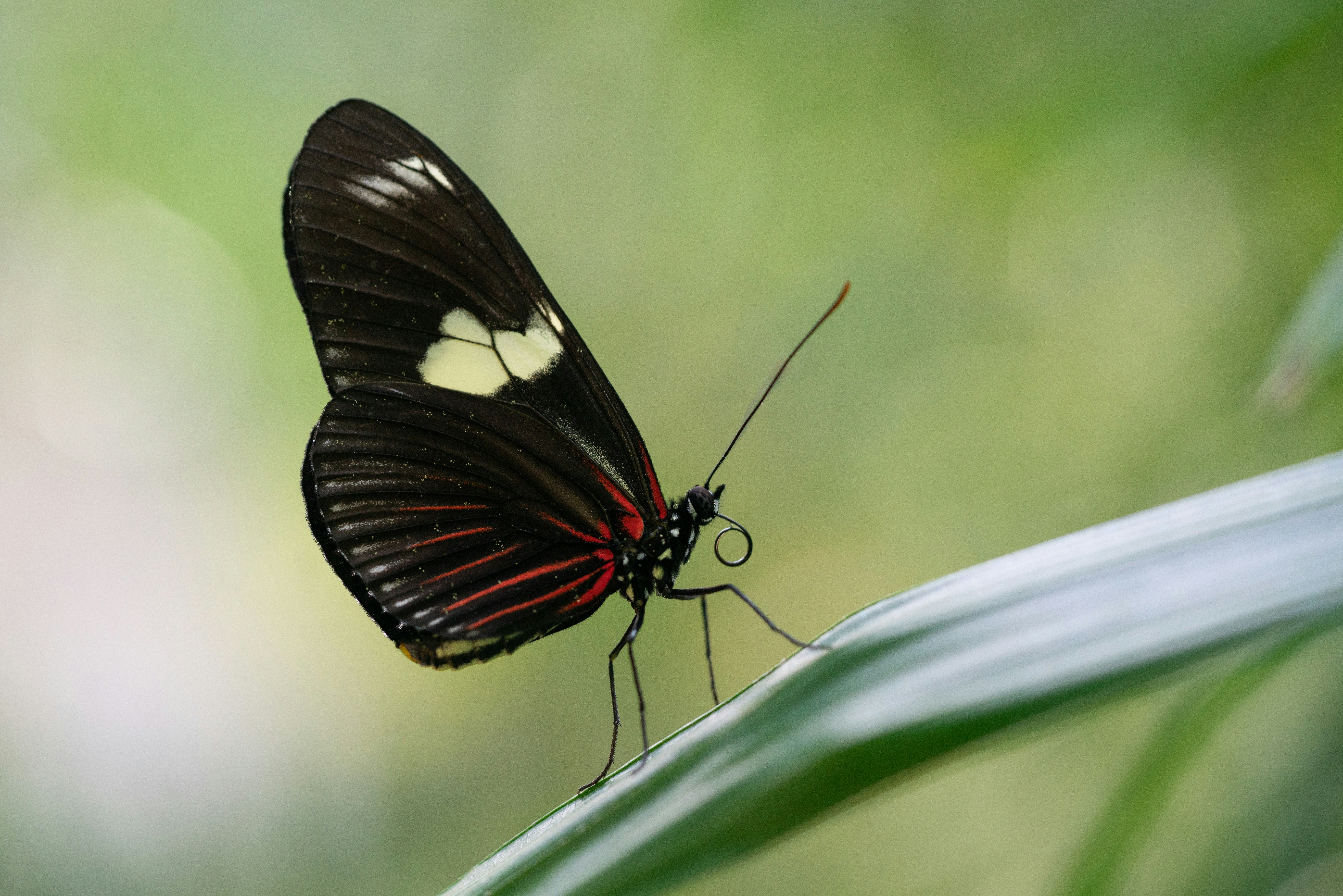 Photo by norajanelong