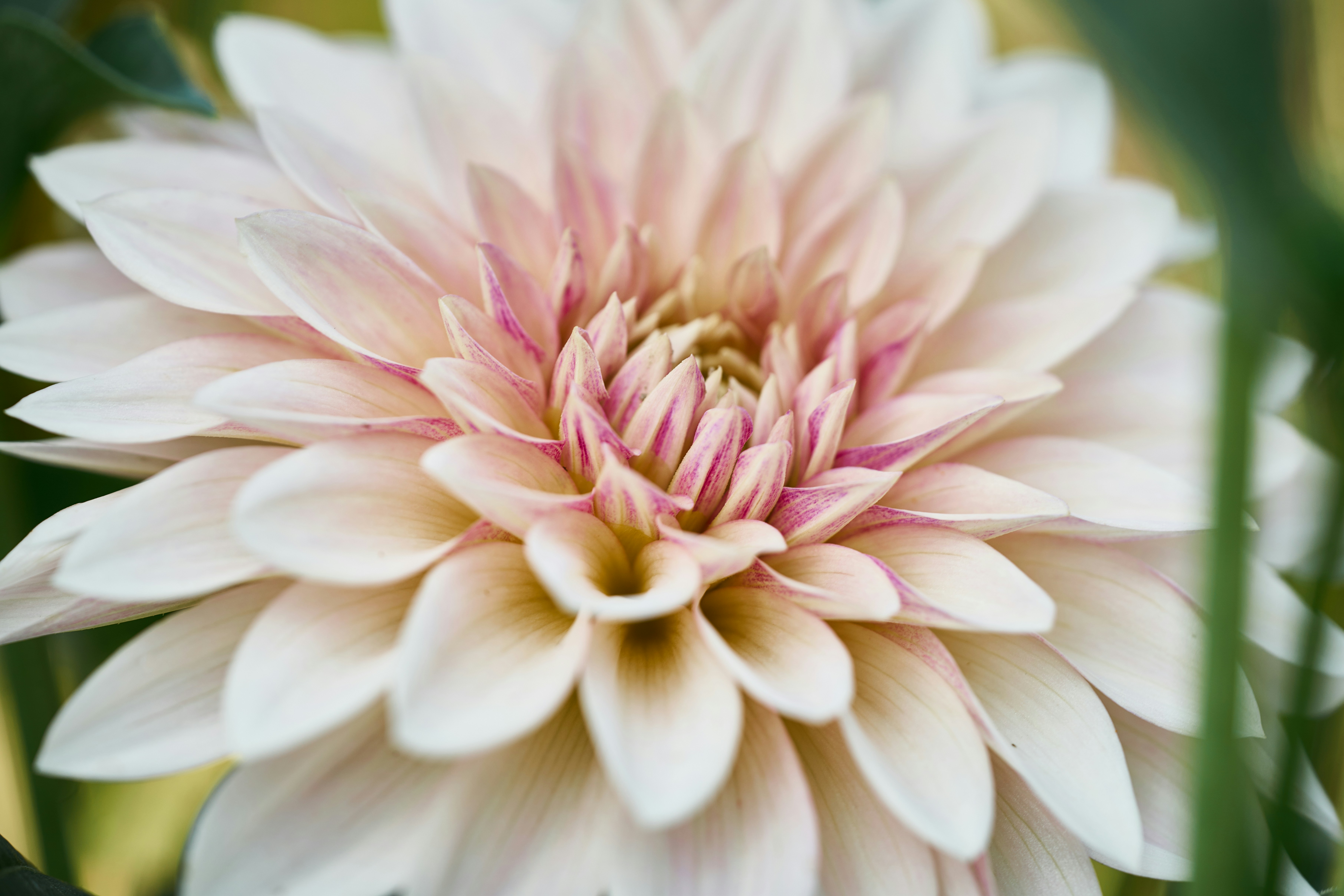 Photo by norajanelong