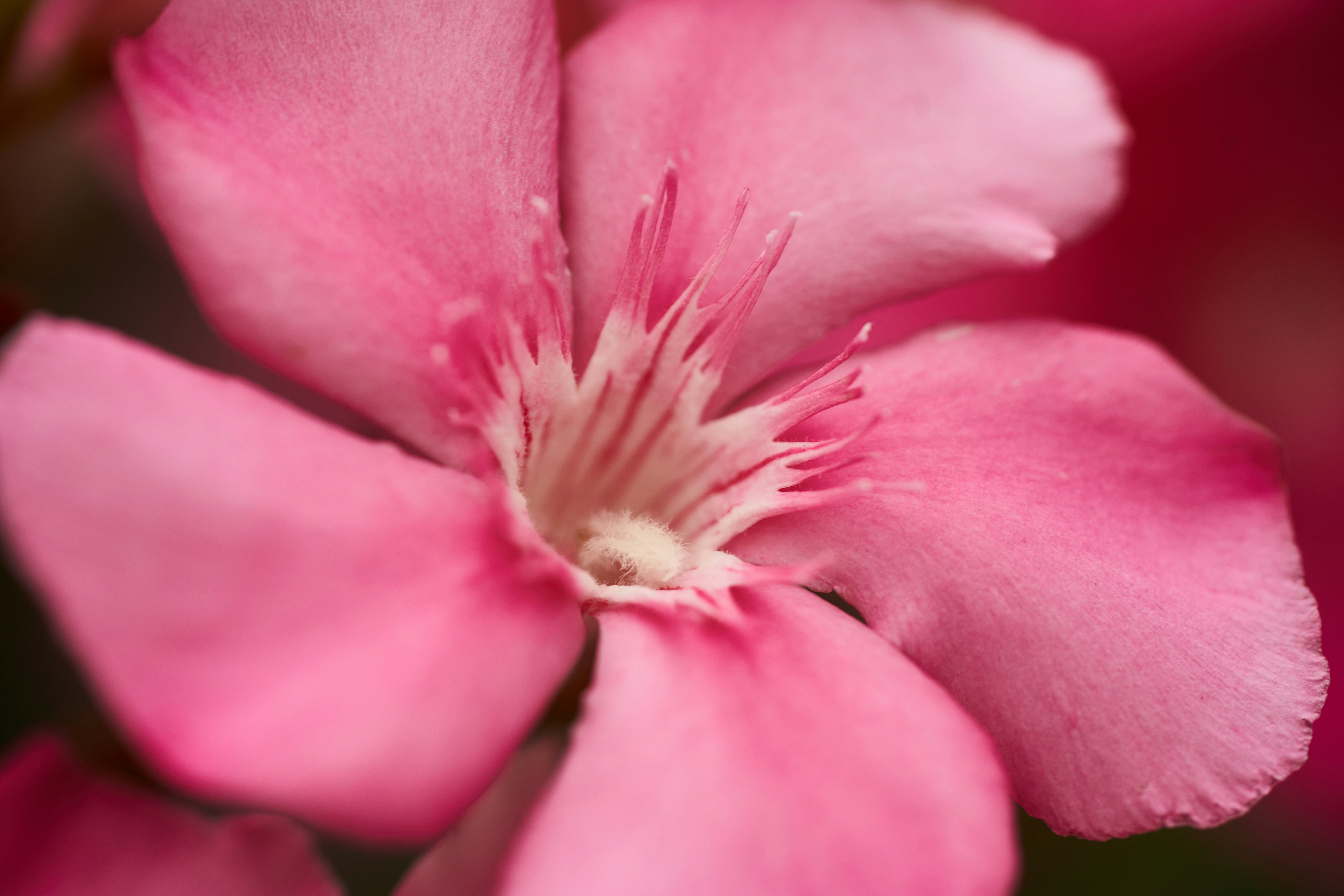 Photo by norajanelong