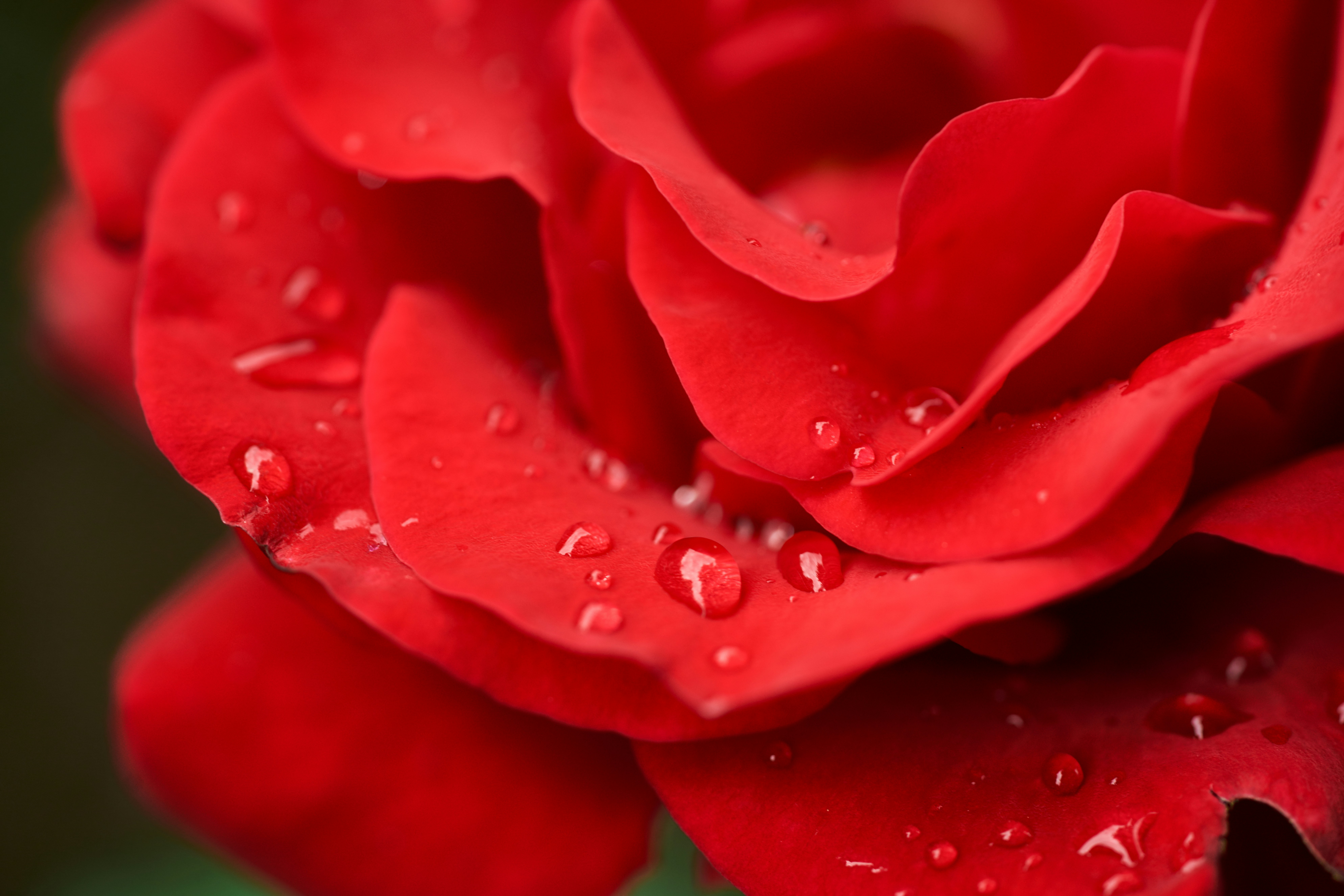 Photo by norajanelong