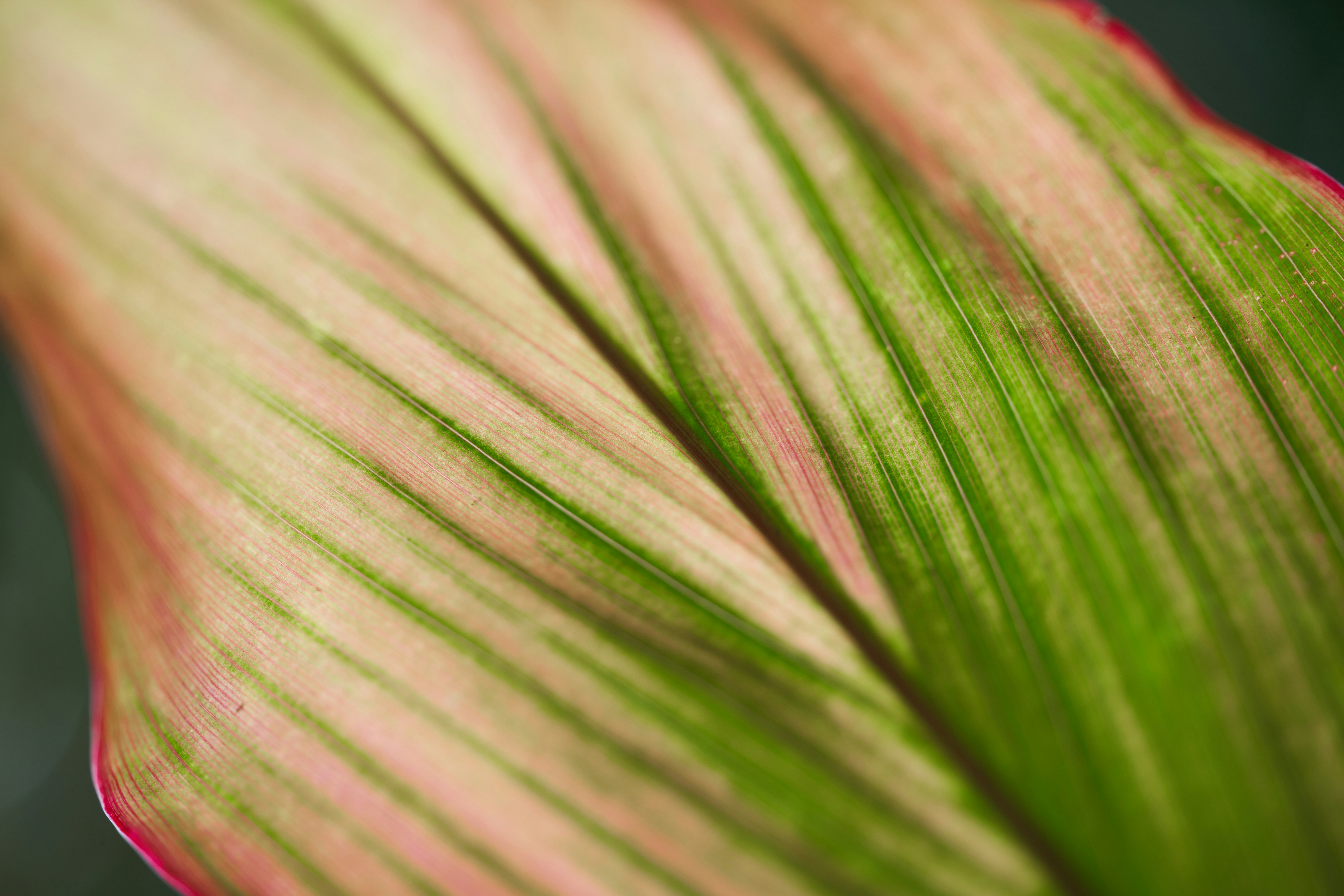 Photo by norajanelong