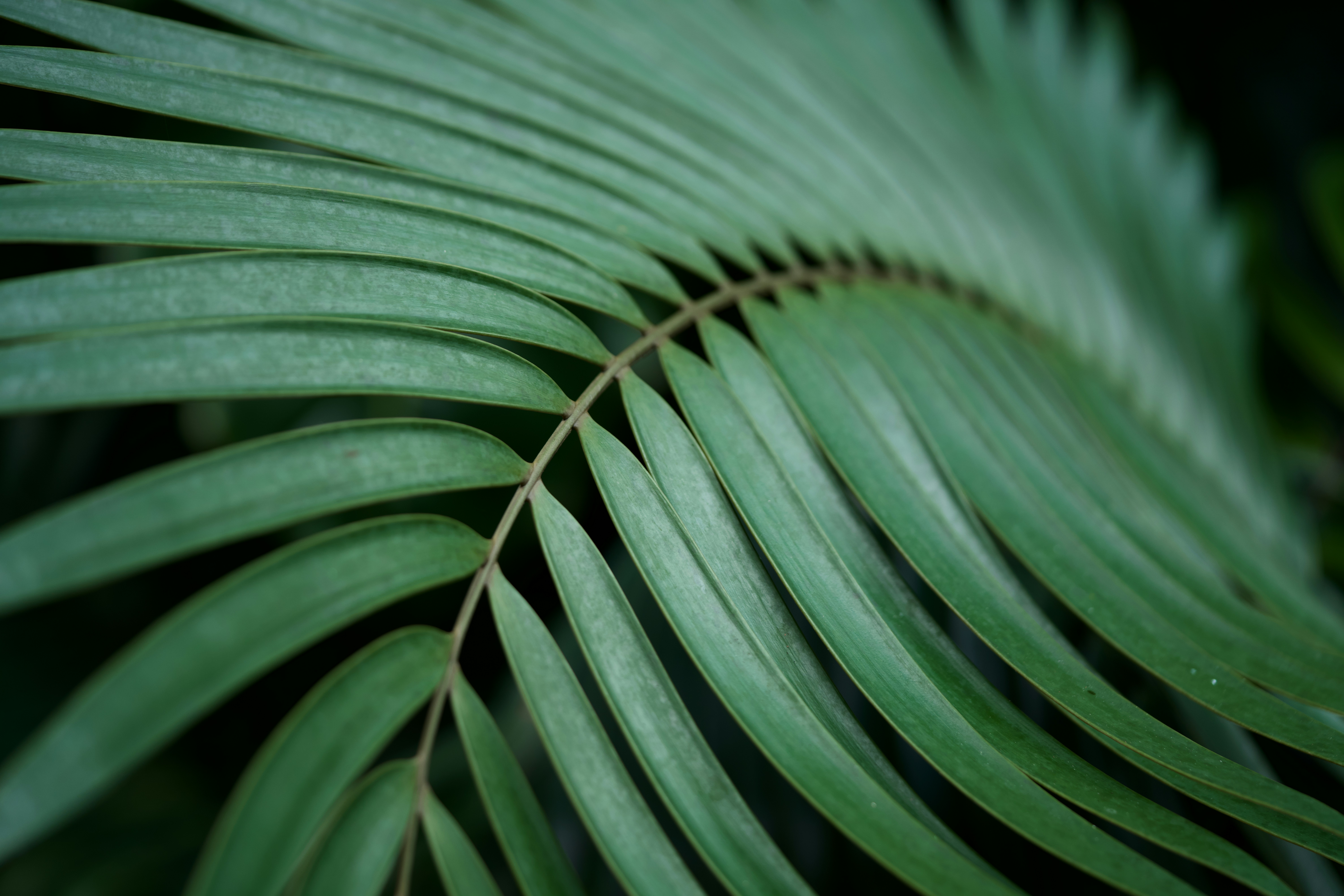 Photo by norajanelong