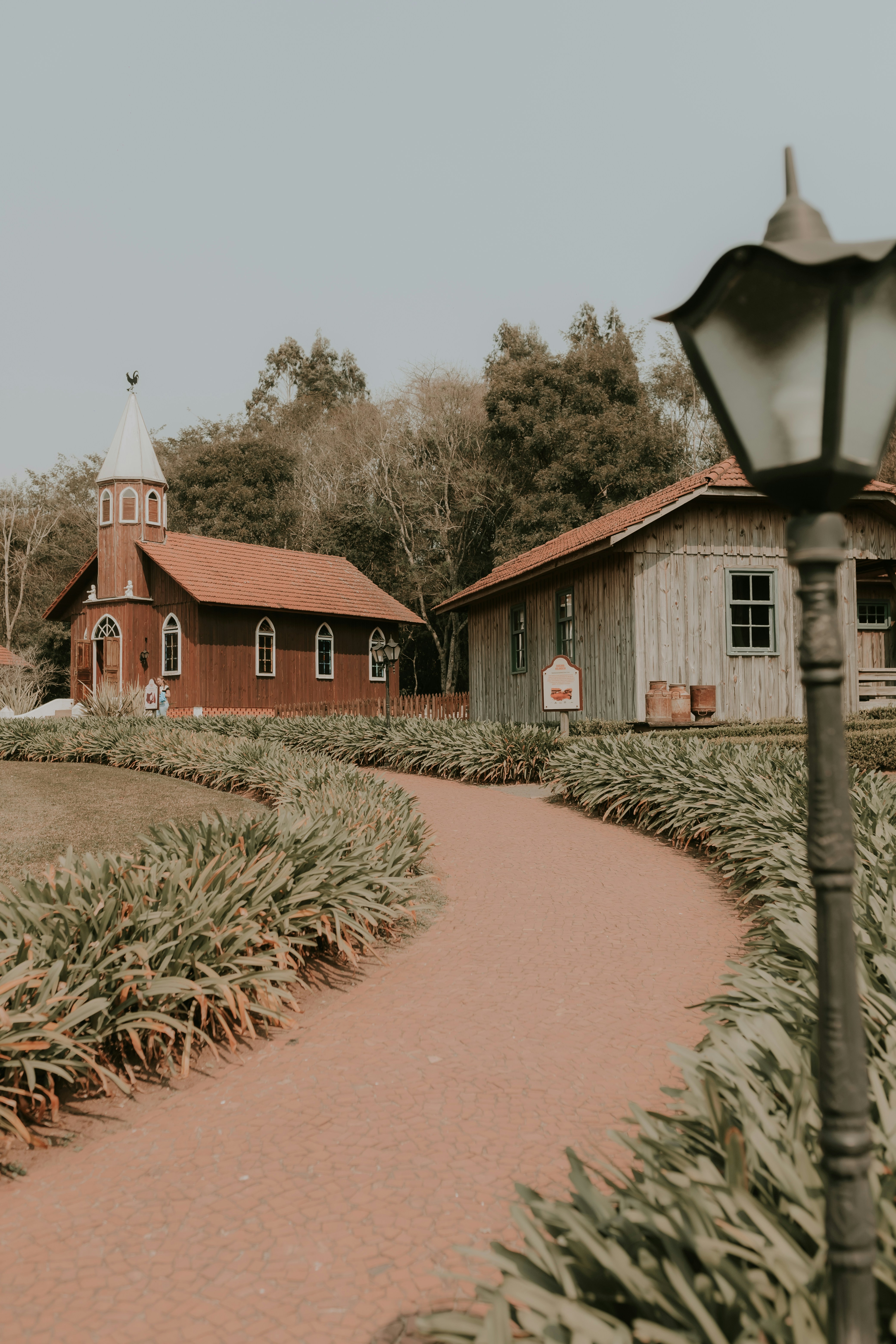 Photo by alexandermassph