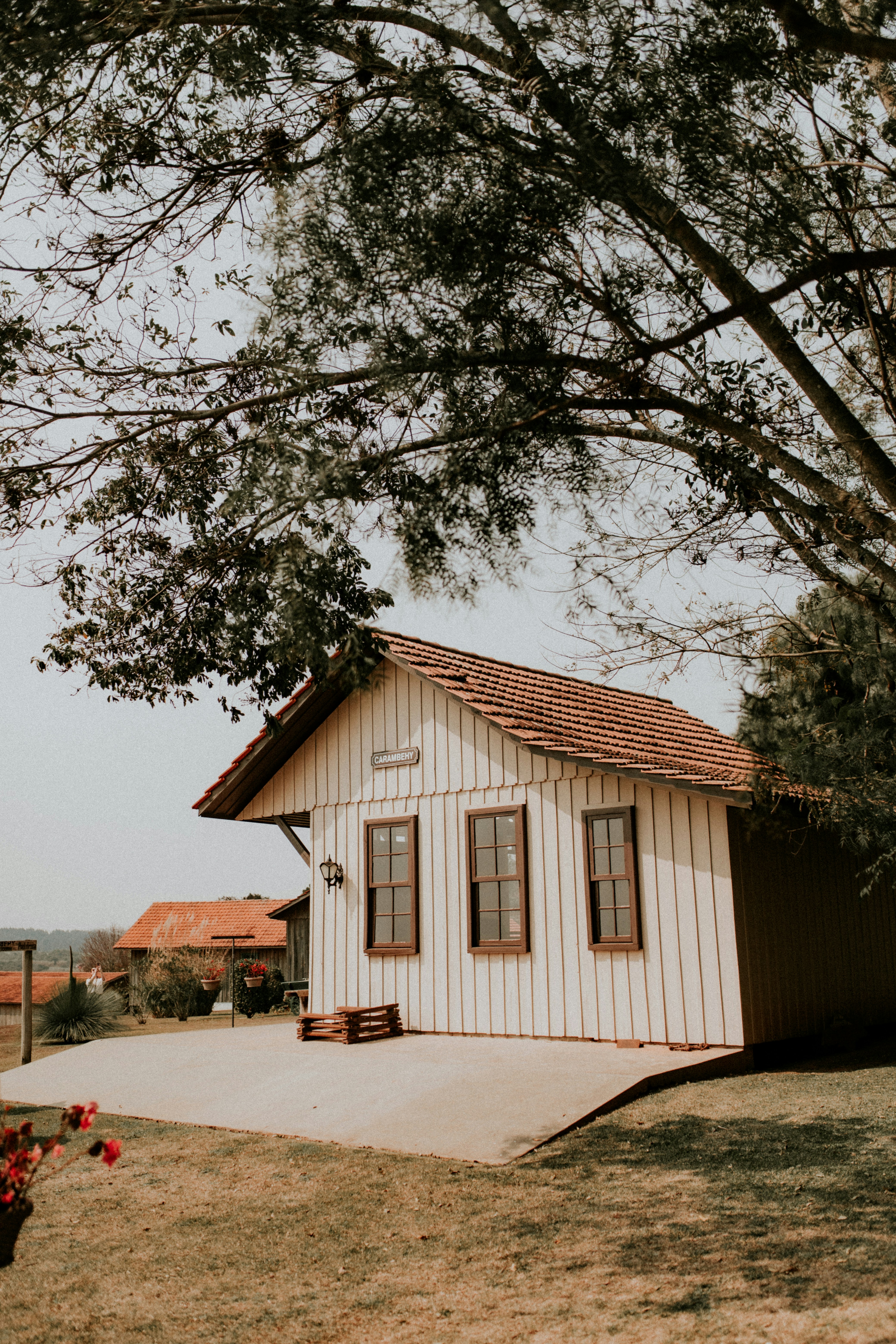 Photo by alexandermassph