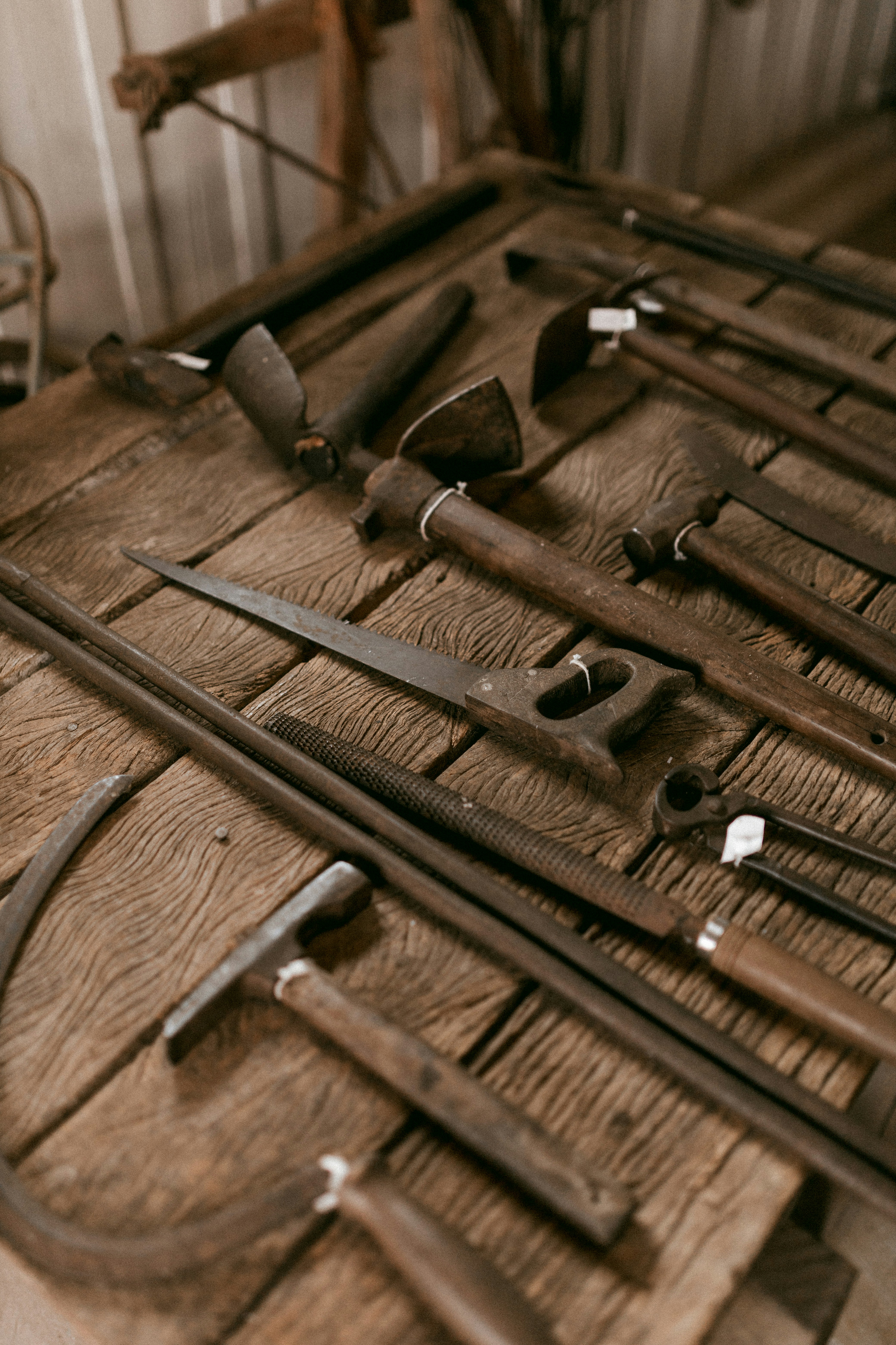 Photo by alexandermassph