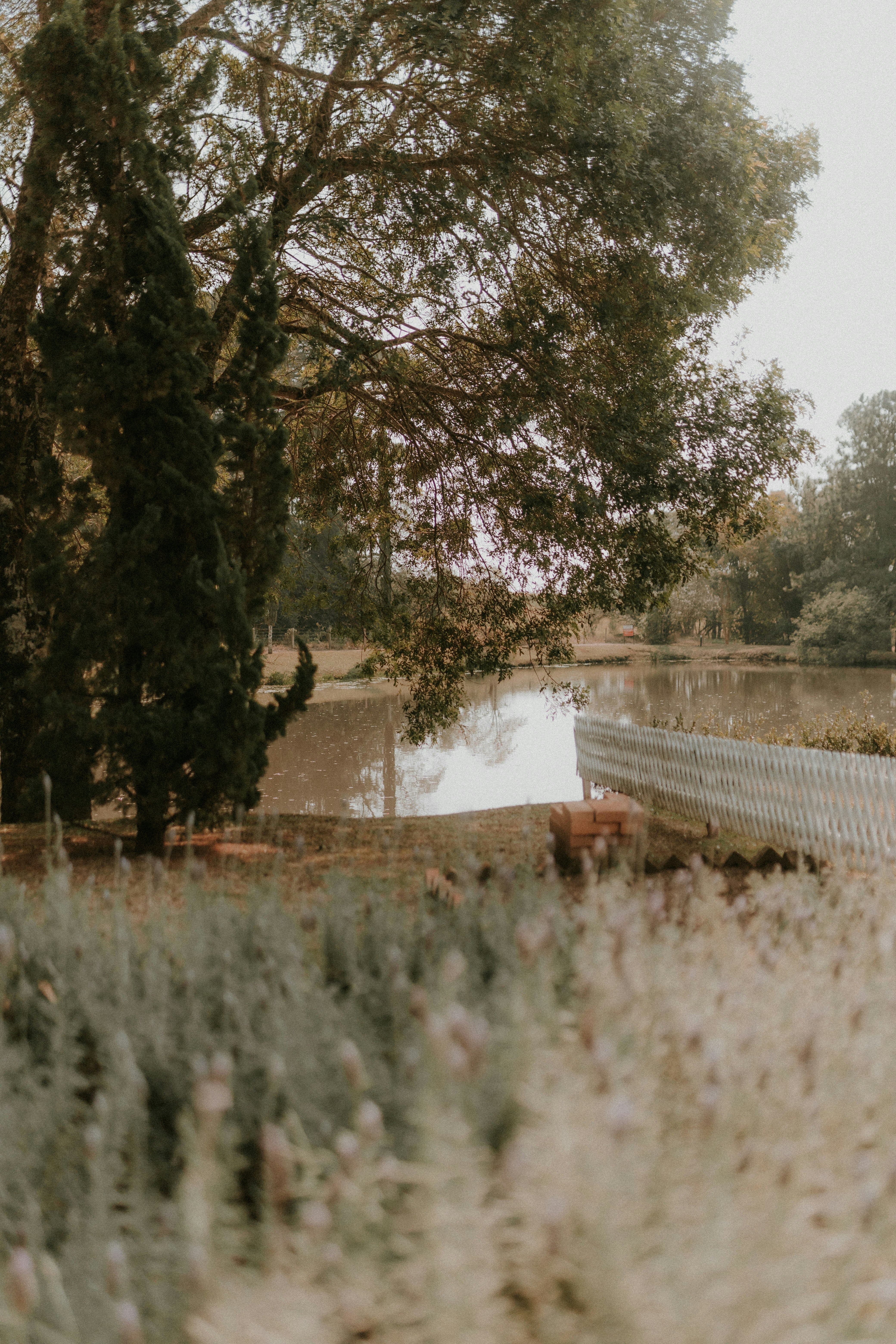 Photo by alexandermassph