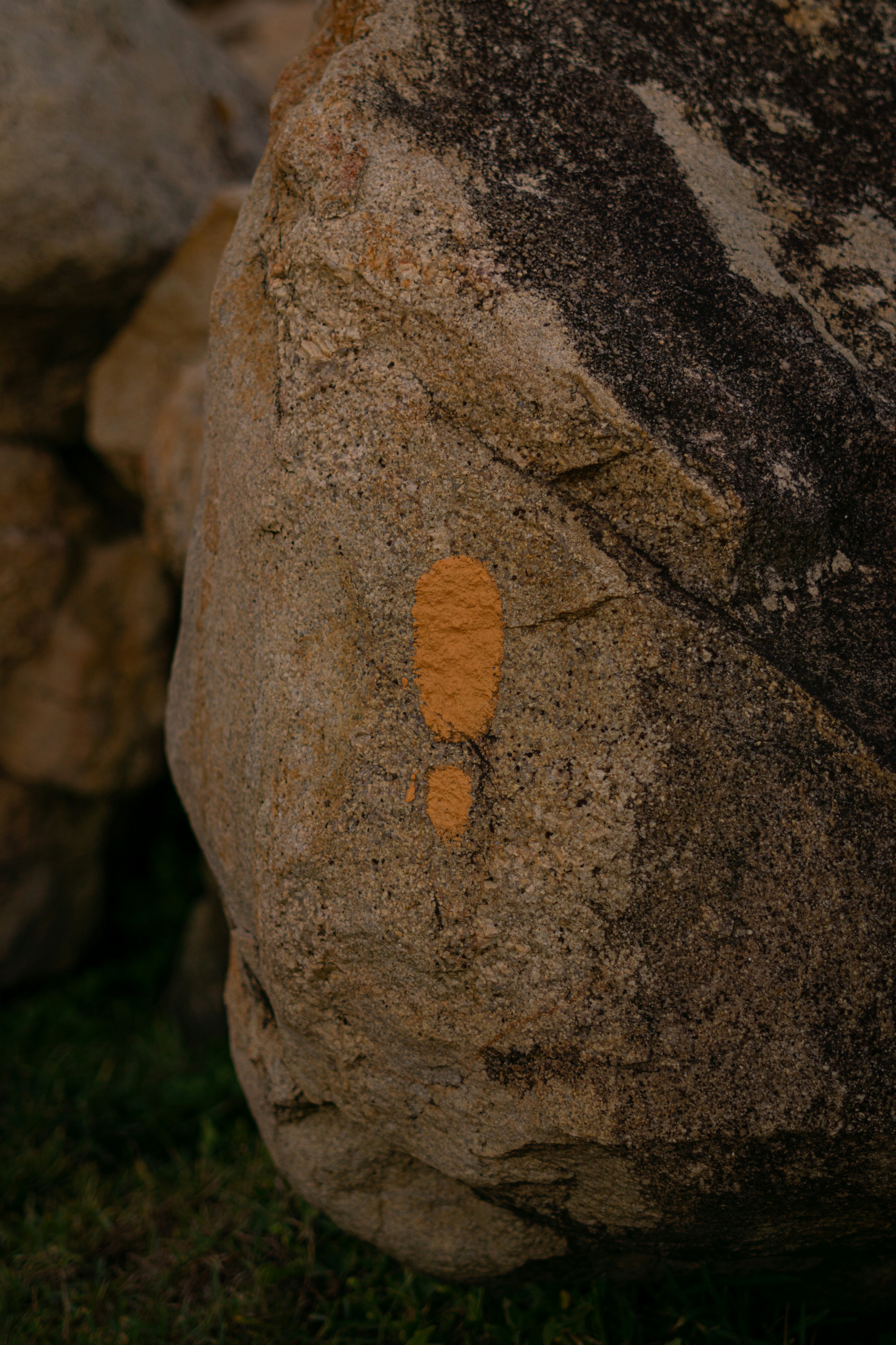 A close up of a rock with a yellow spot on it