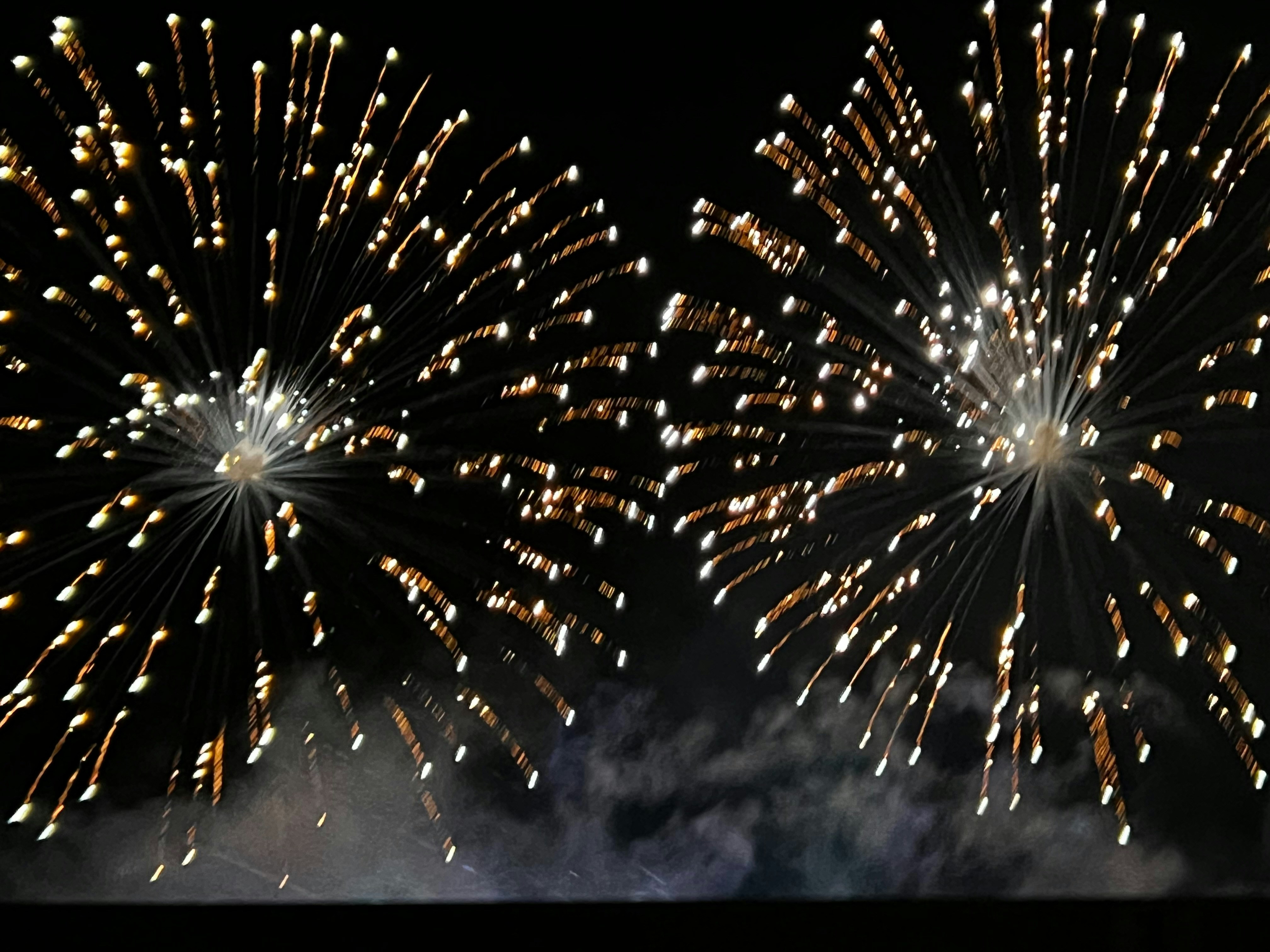 Photo by missylynnarts