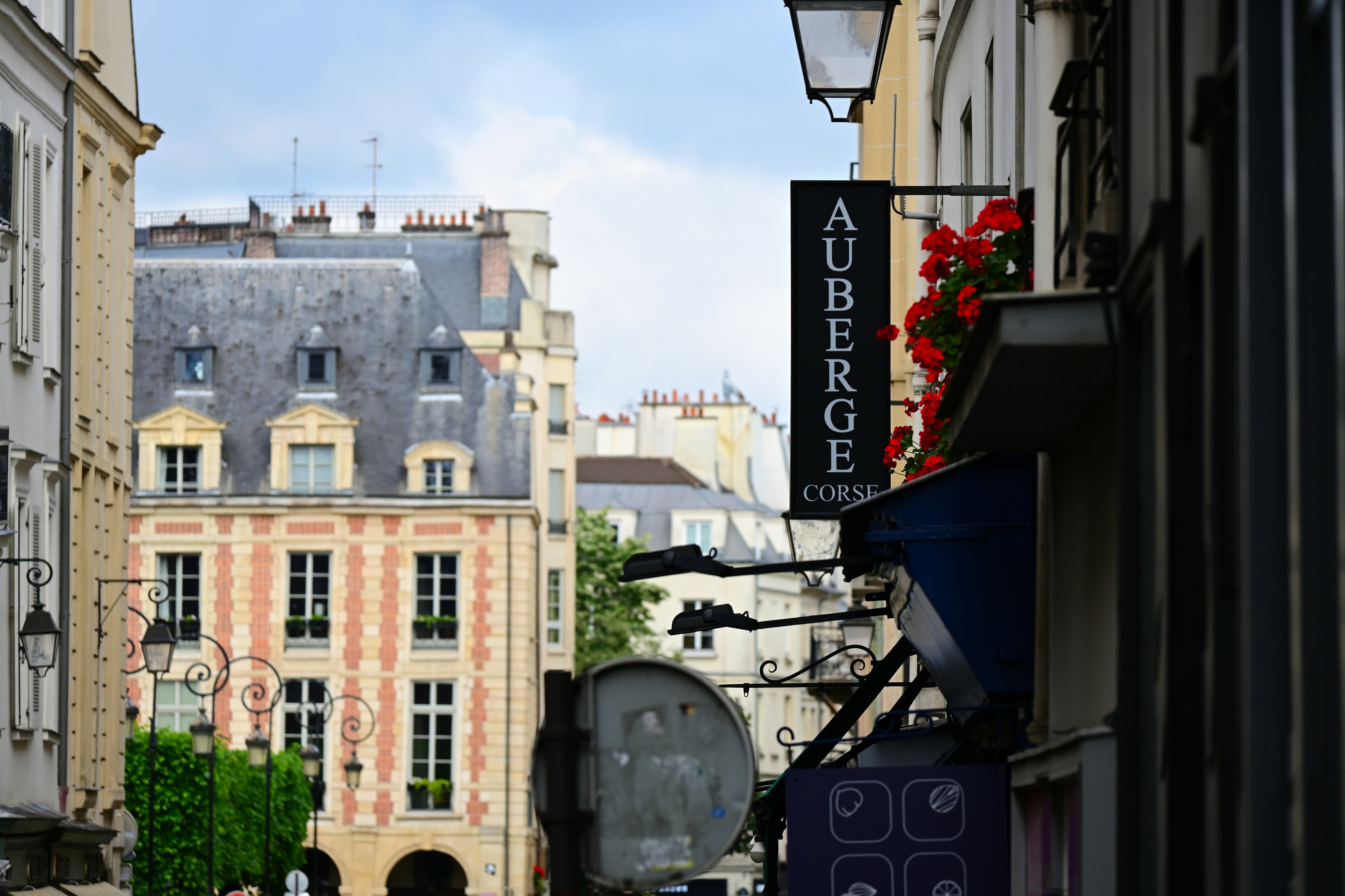 Photo by aminzabardast