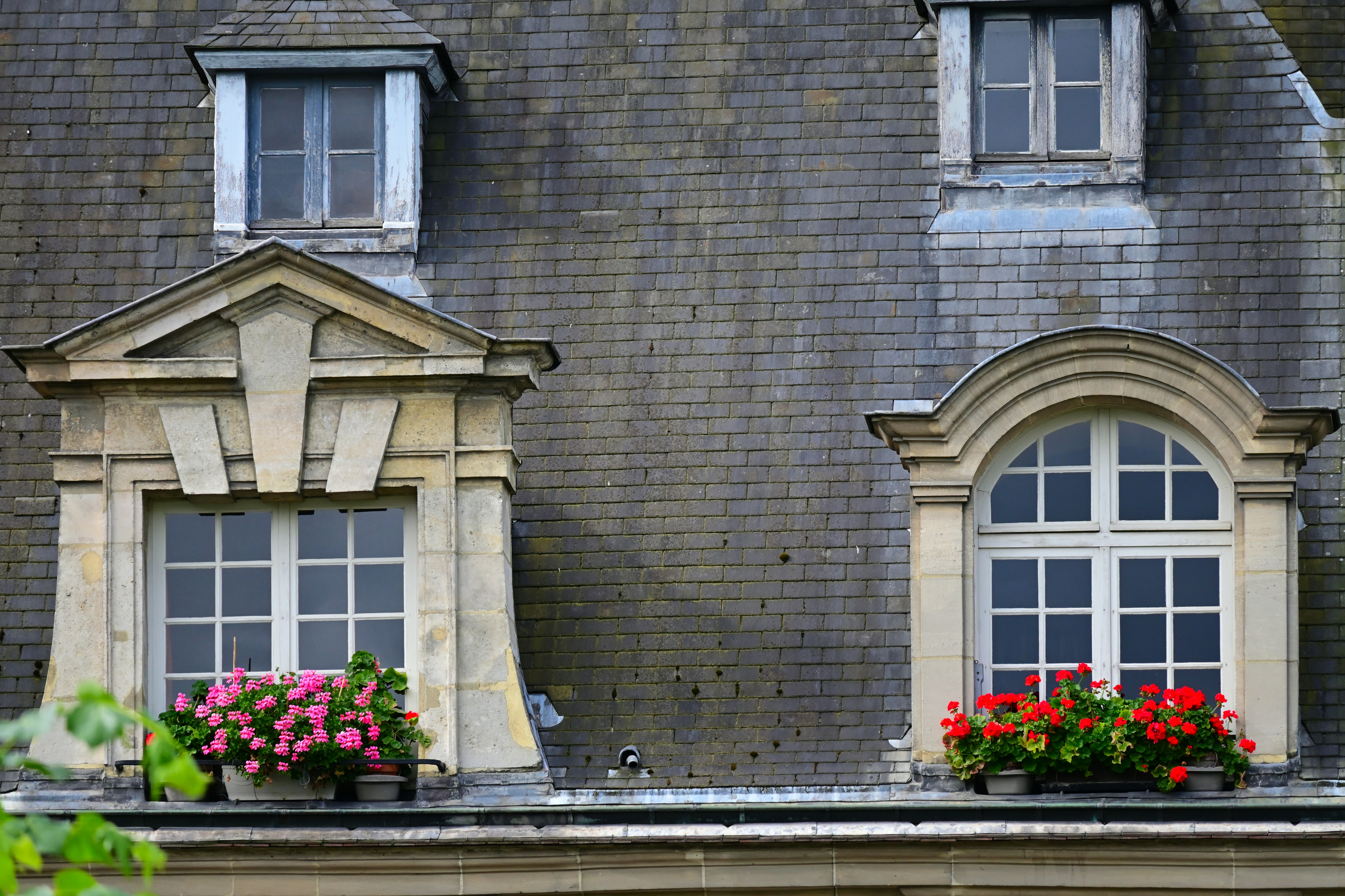 Photo by aminzabardast