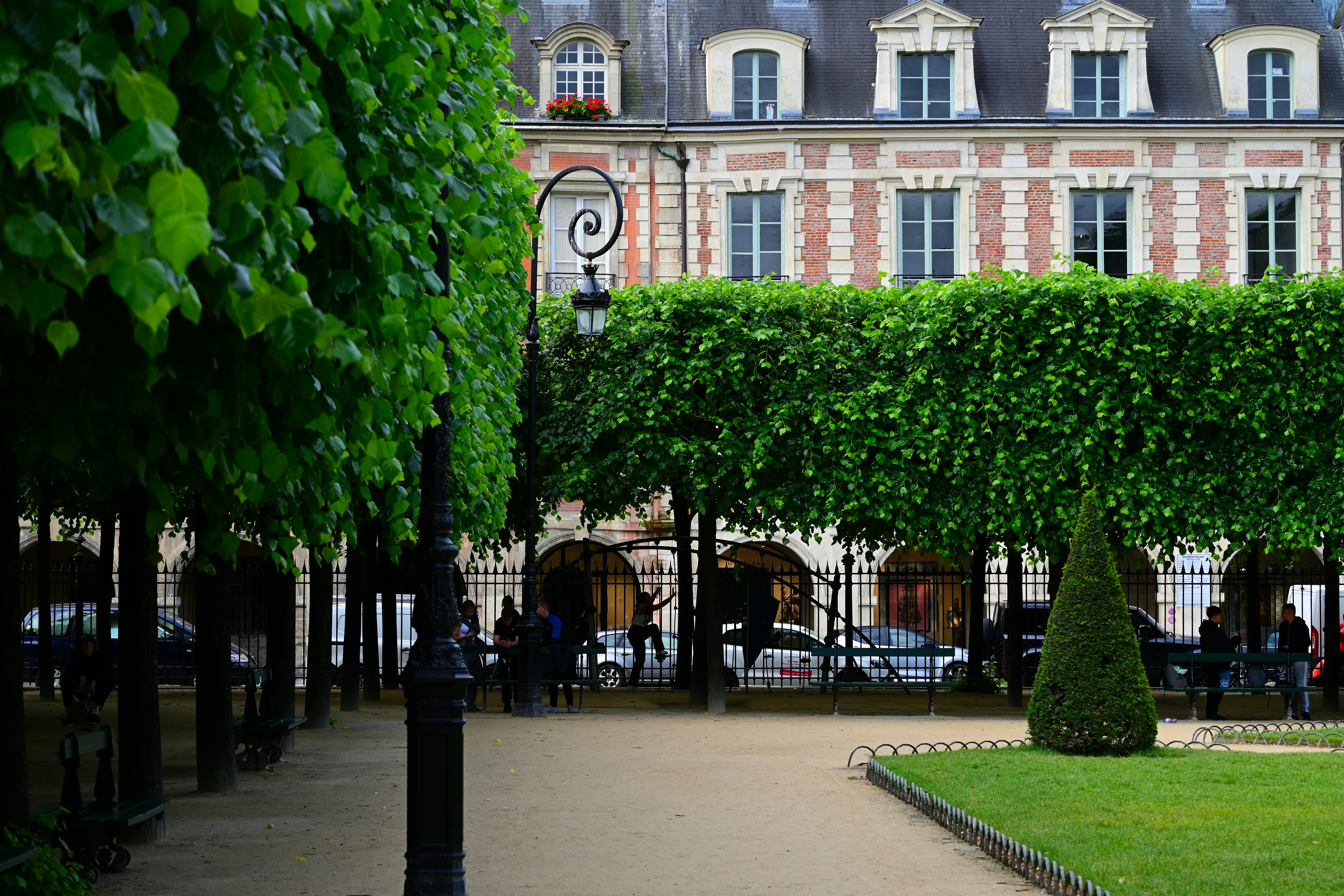 Photo by aminzabardast