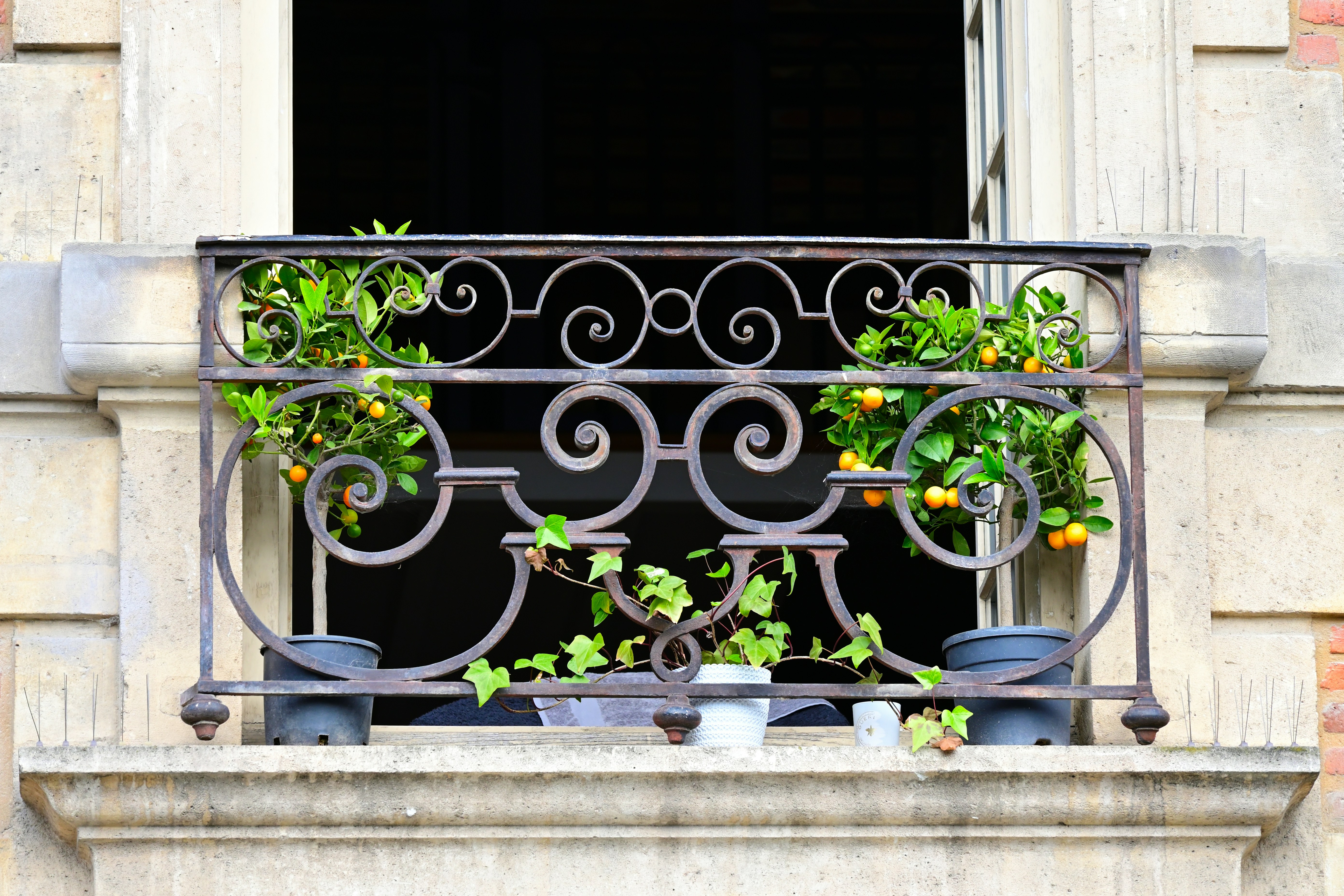 Photo by aminzabardast