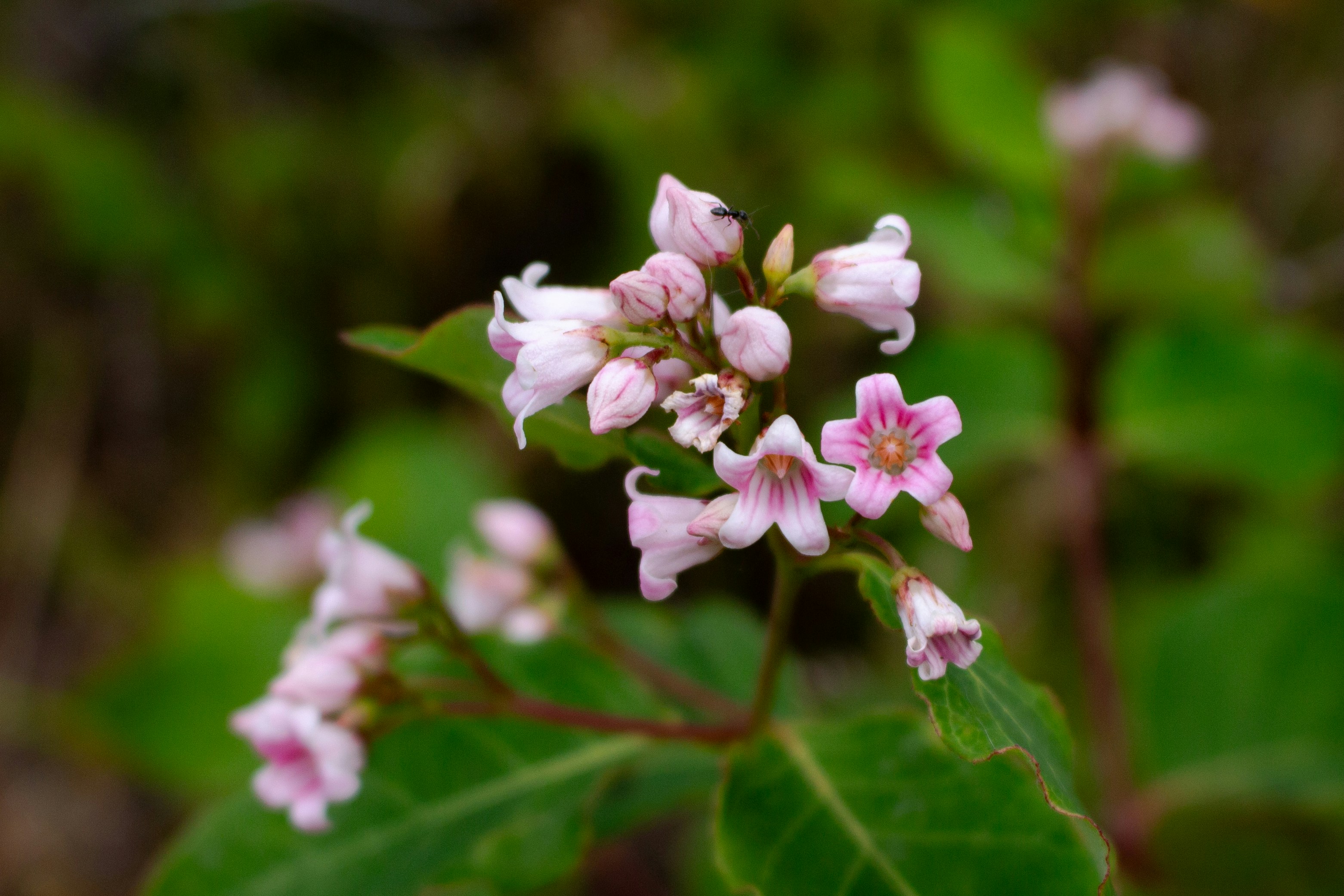 Photo by rainbows_snaps