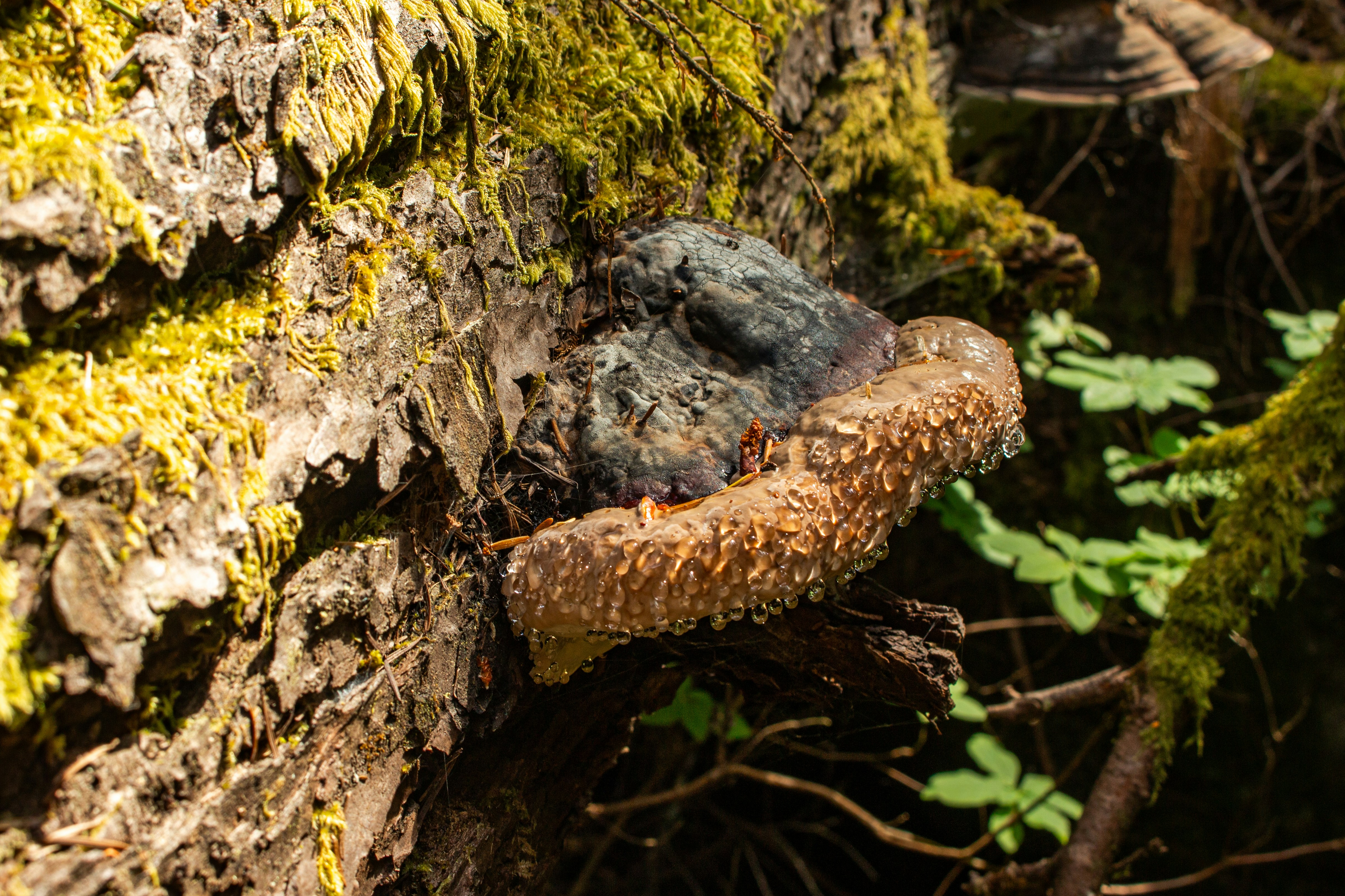 Photo by rainbows_snaps