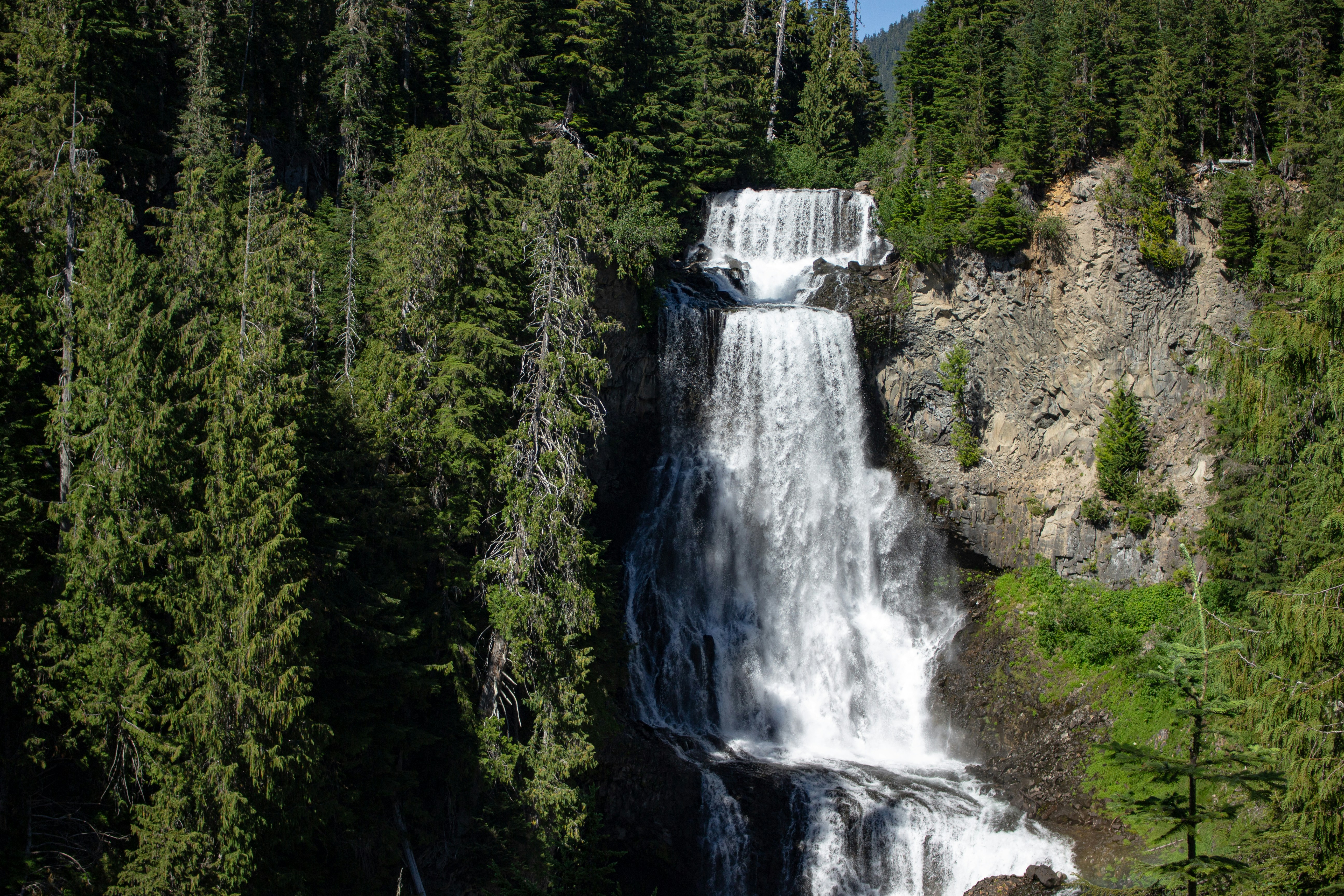 Photo by rainbows_snaps