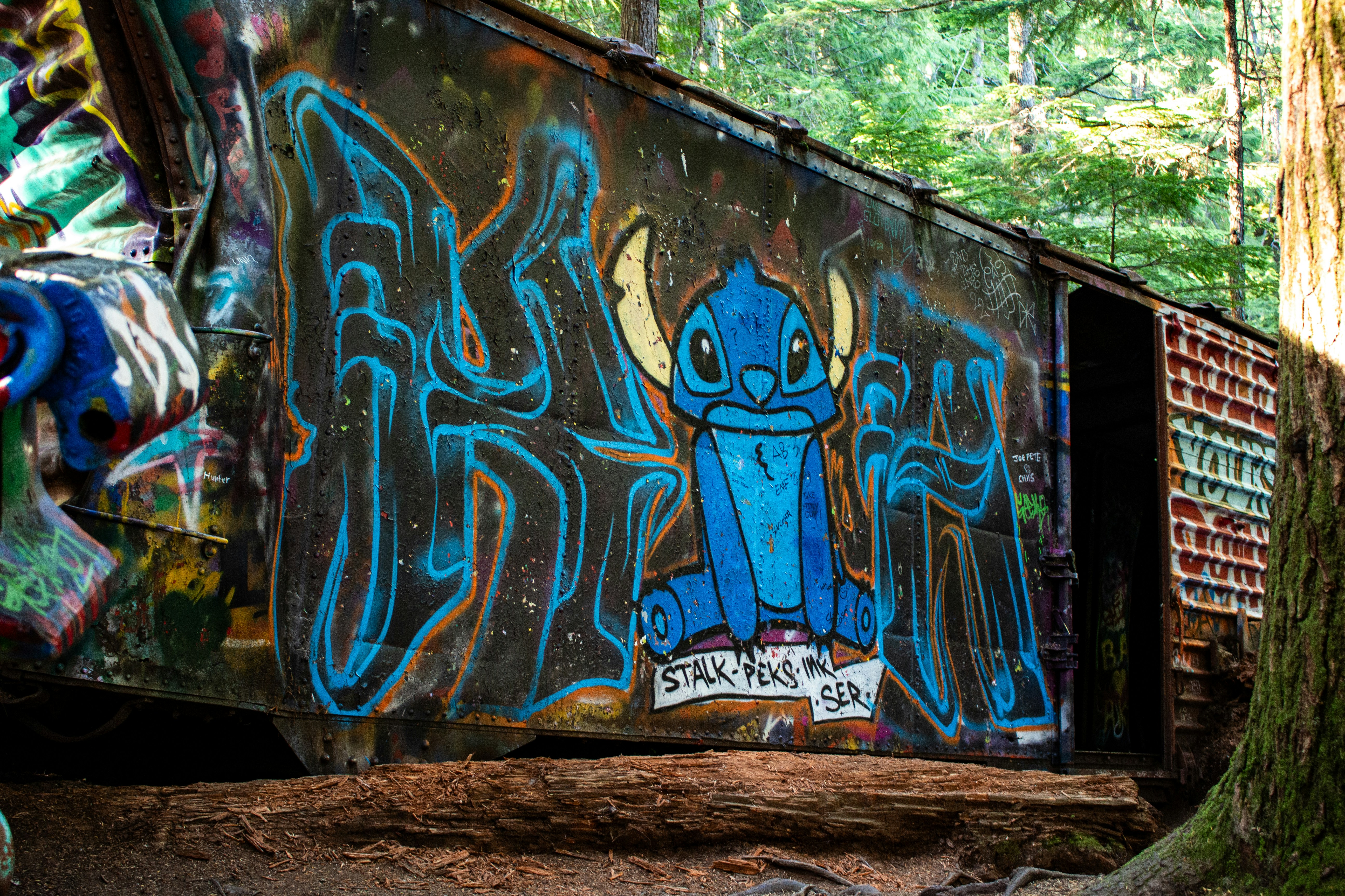 Ein mit Graffiti beschmierter Waggon in einem Waldgebiet