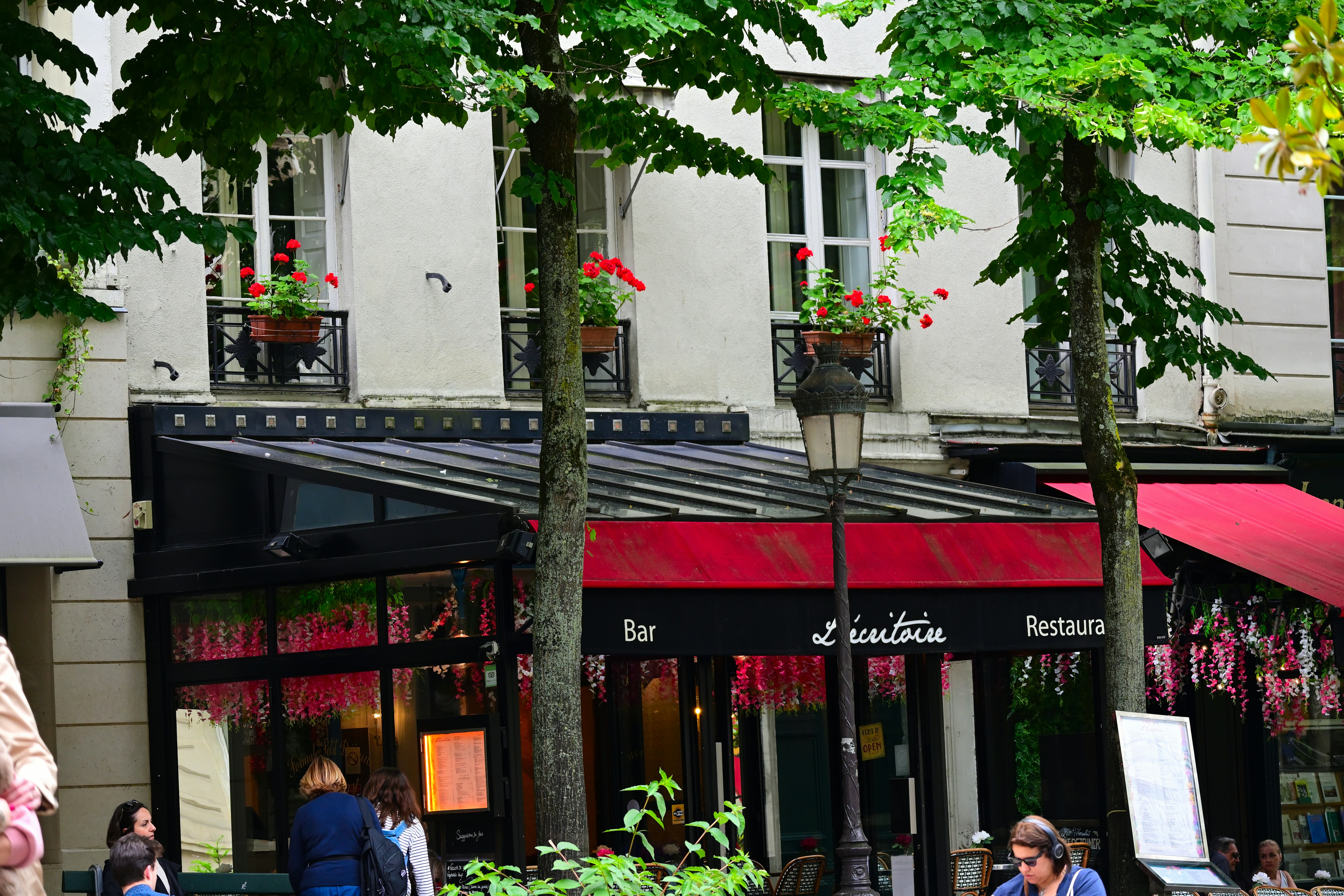 Photo by aminzabardast