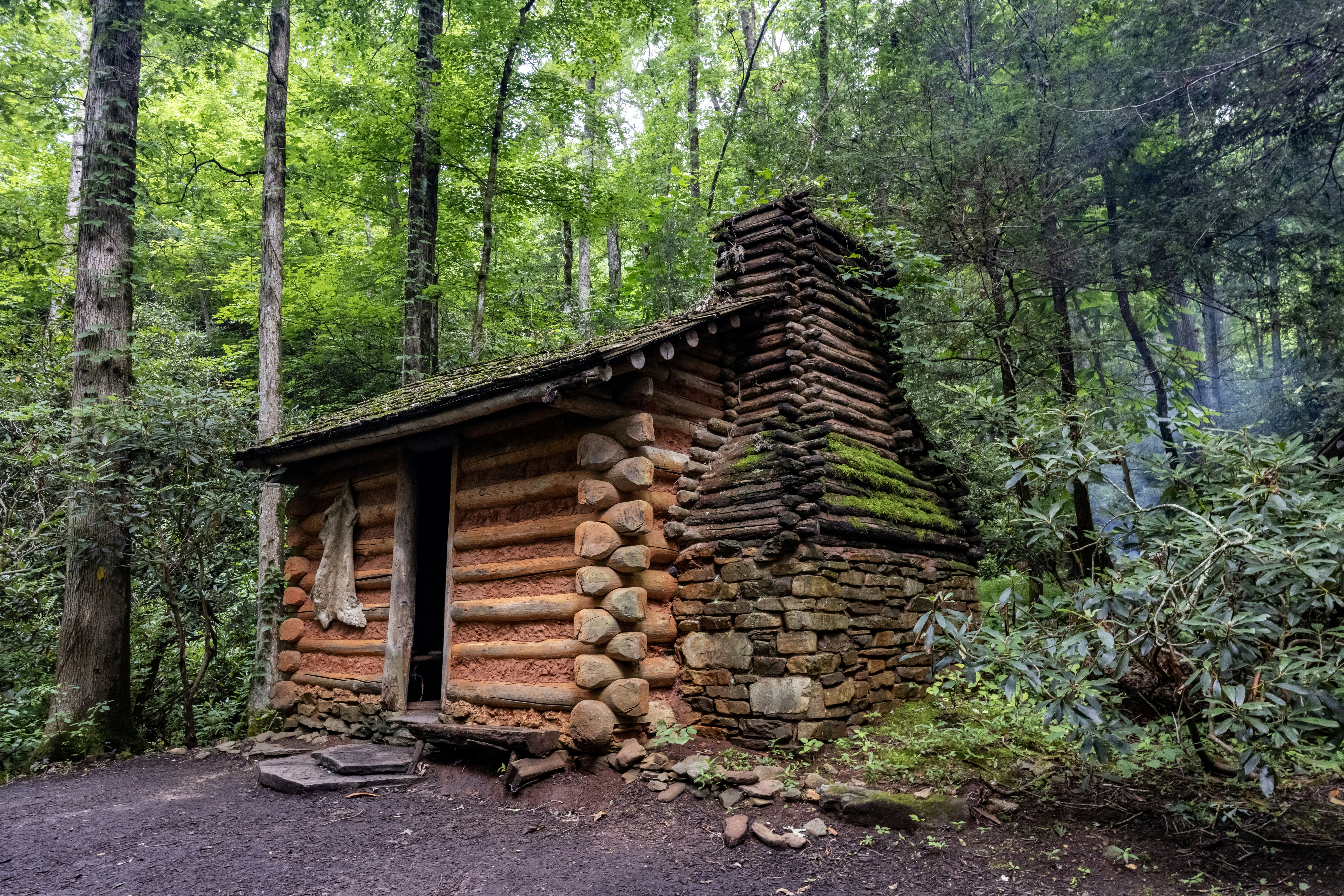 Cherokee or Indian-American