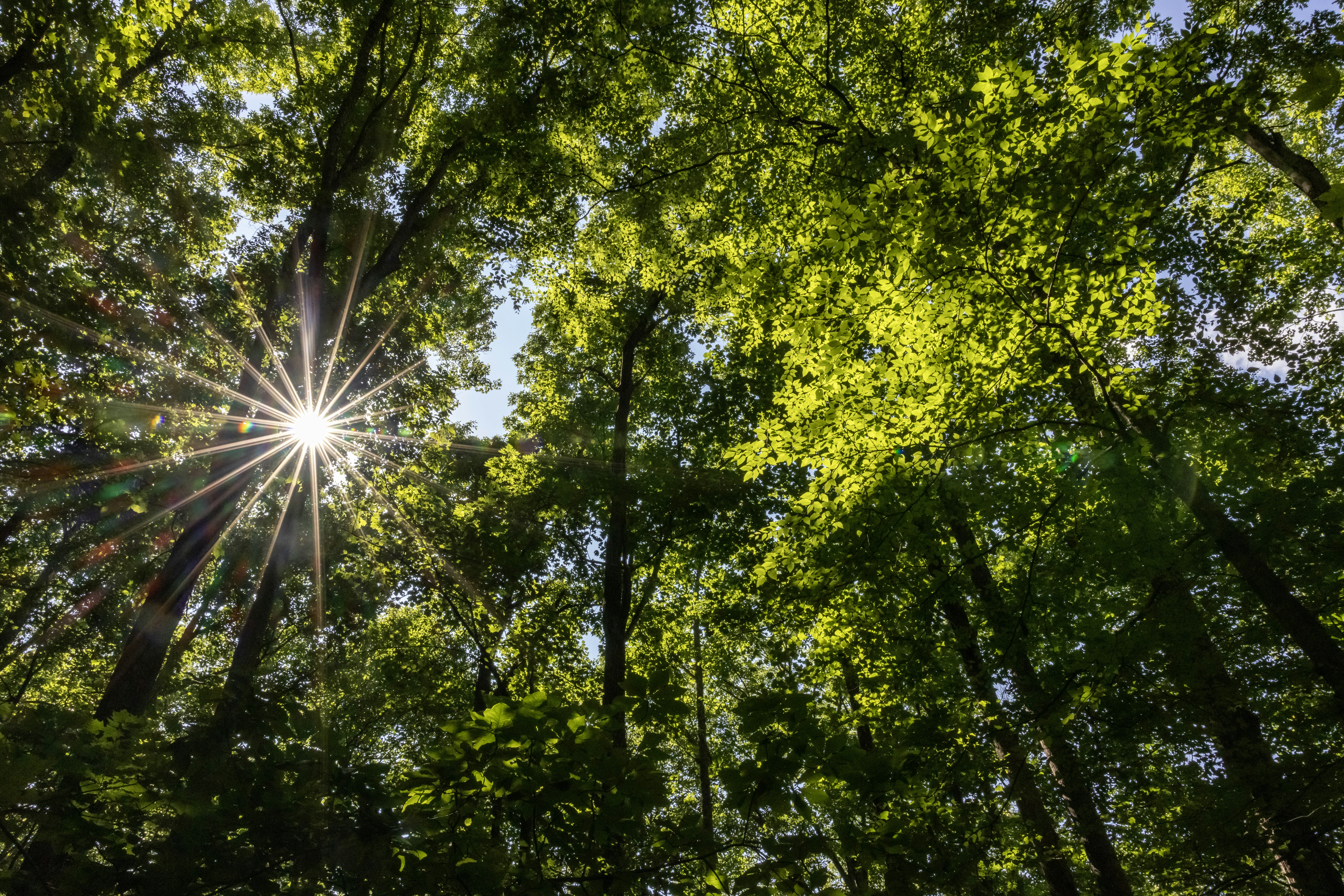 Photo by rocinante_11