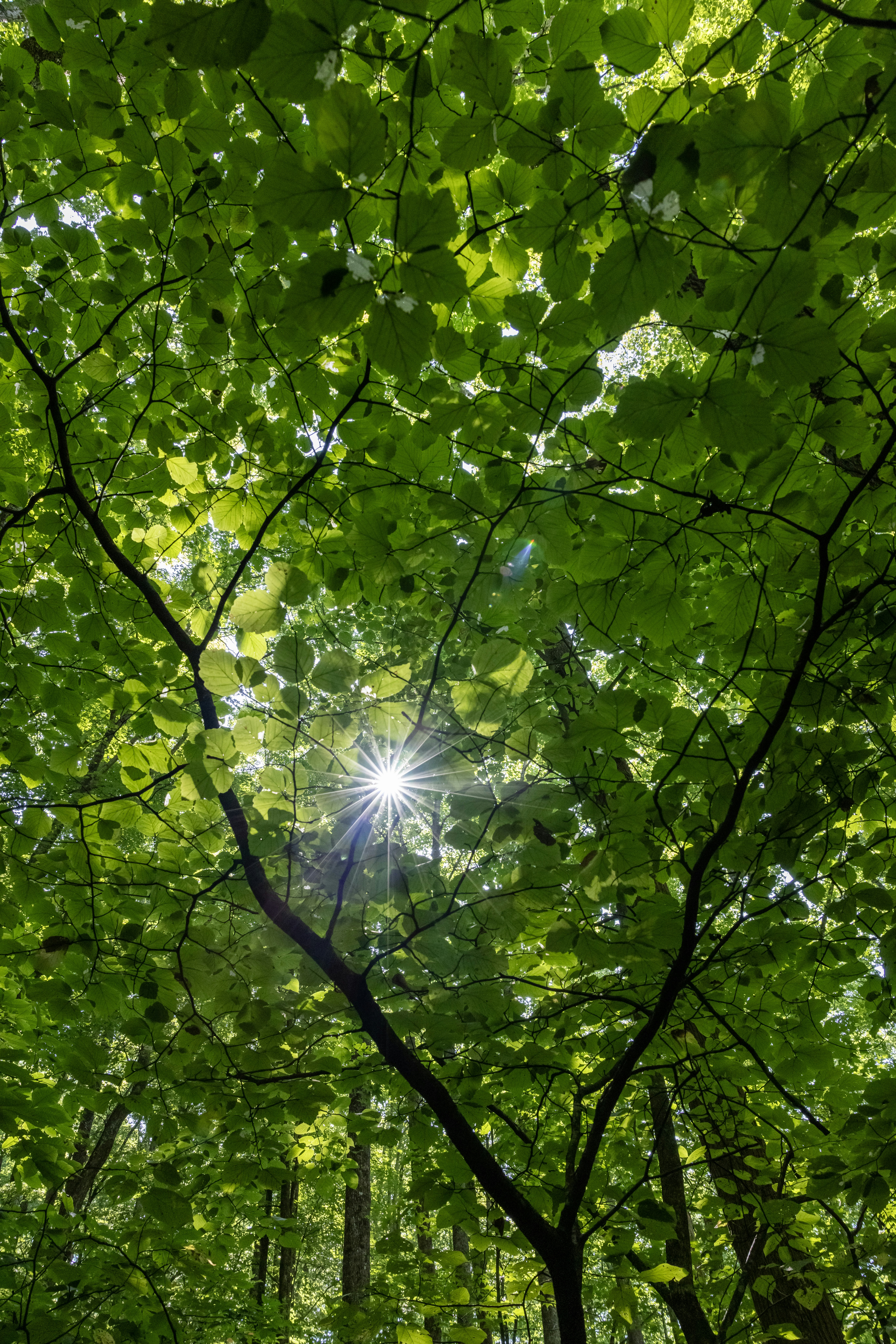 Photo by rocinante_11