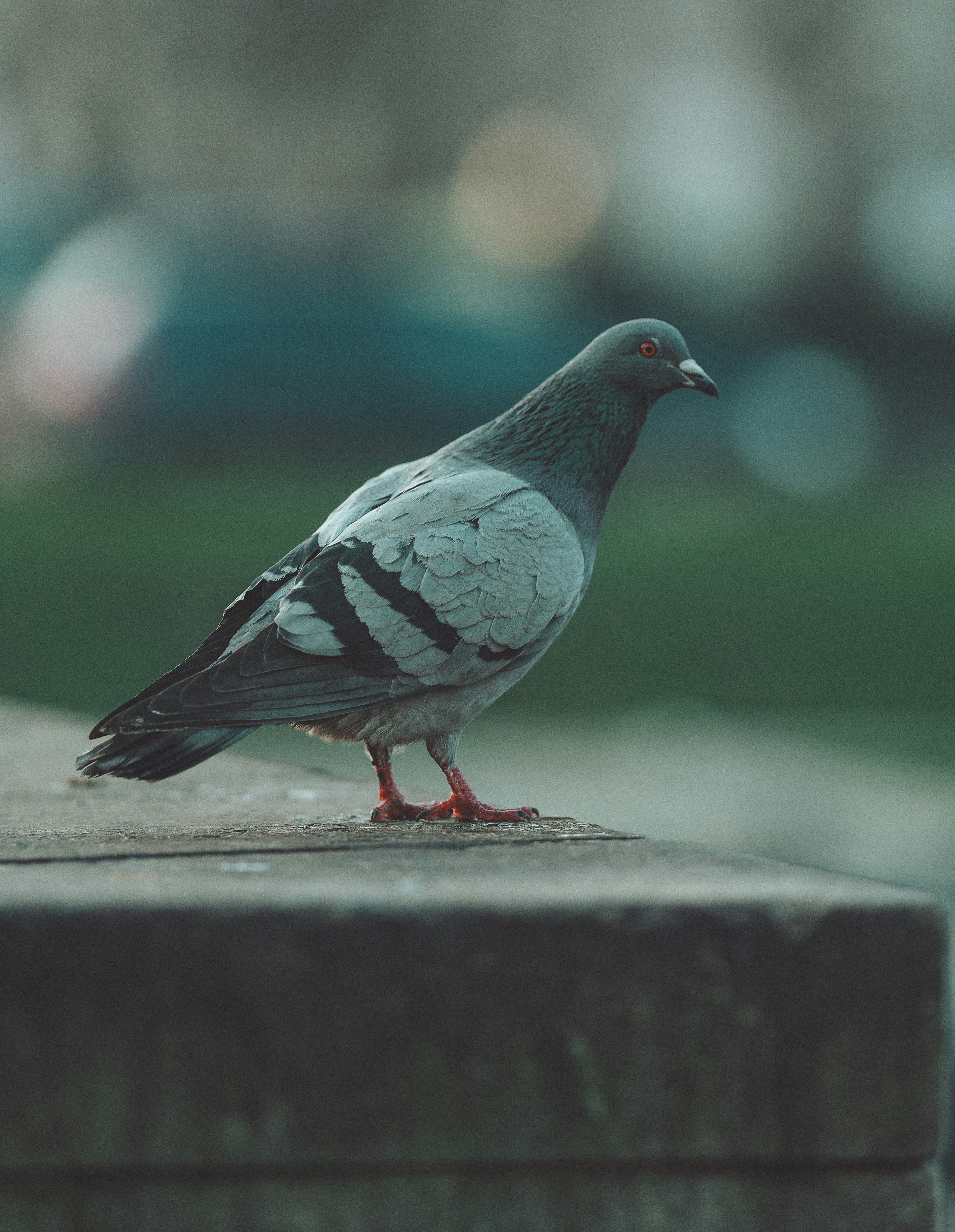 Photo by omarvellous14