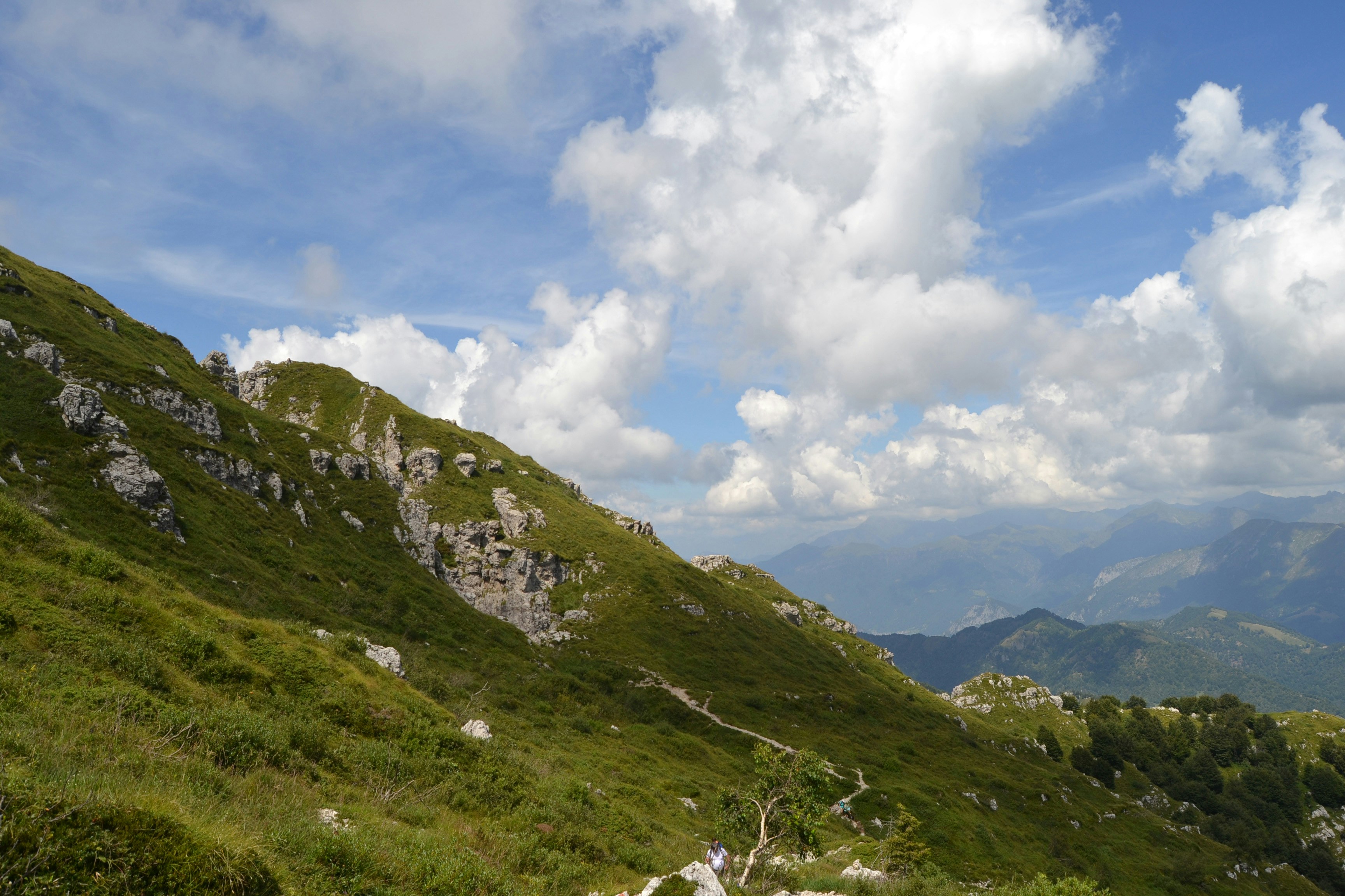 Photo by francesca_riverso