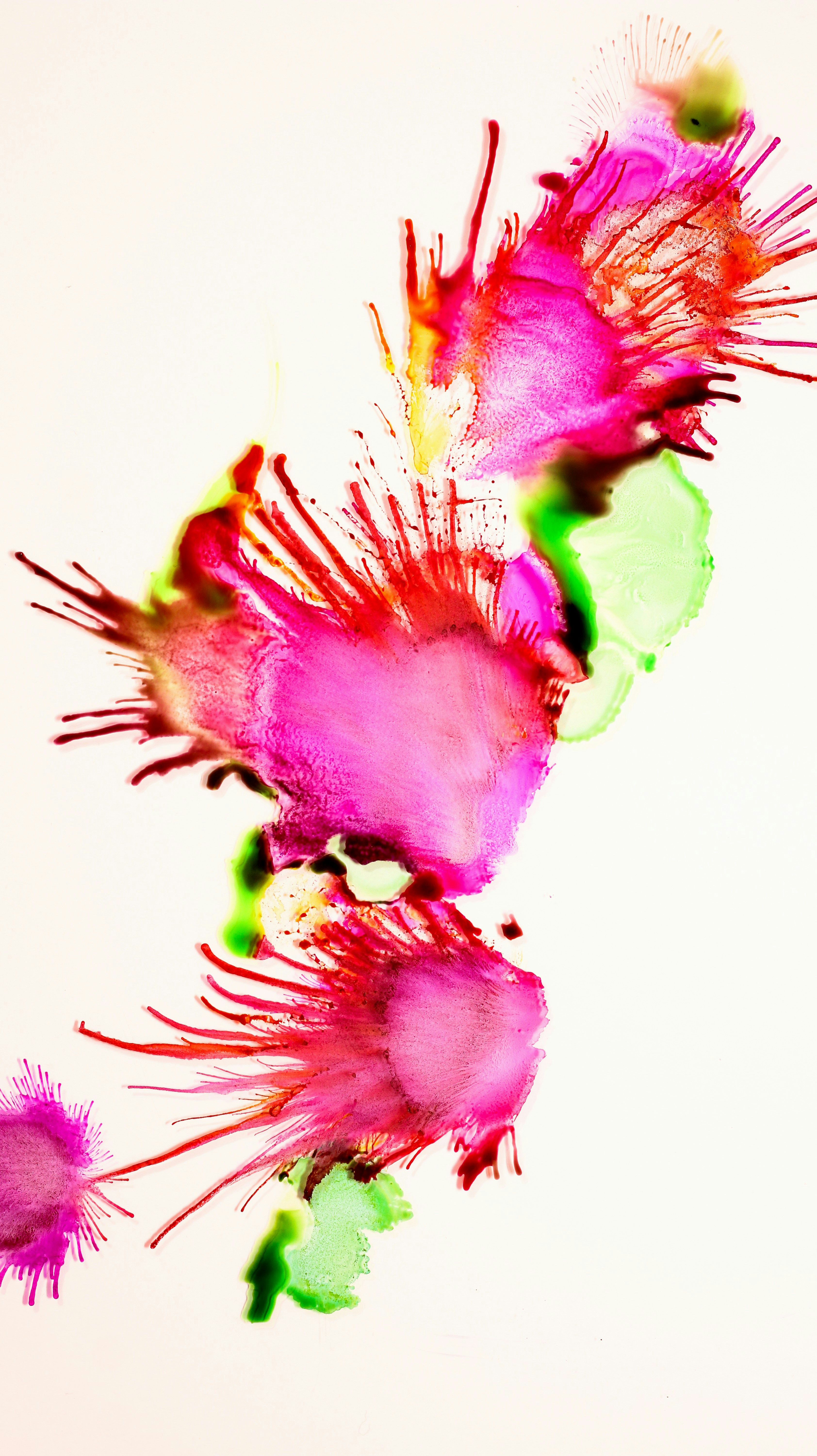 Photo by susan_wilkinson