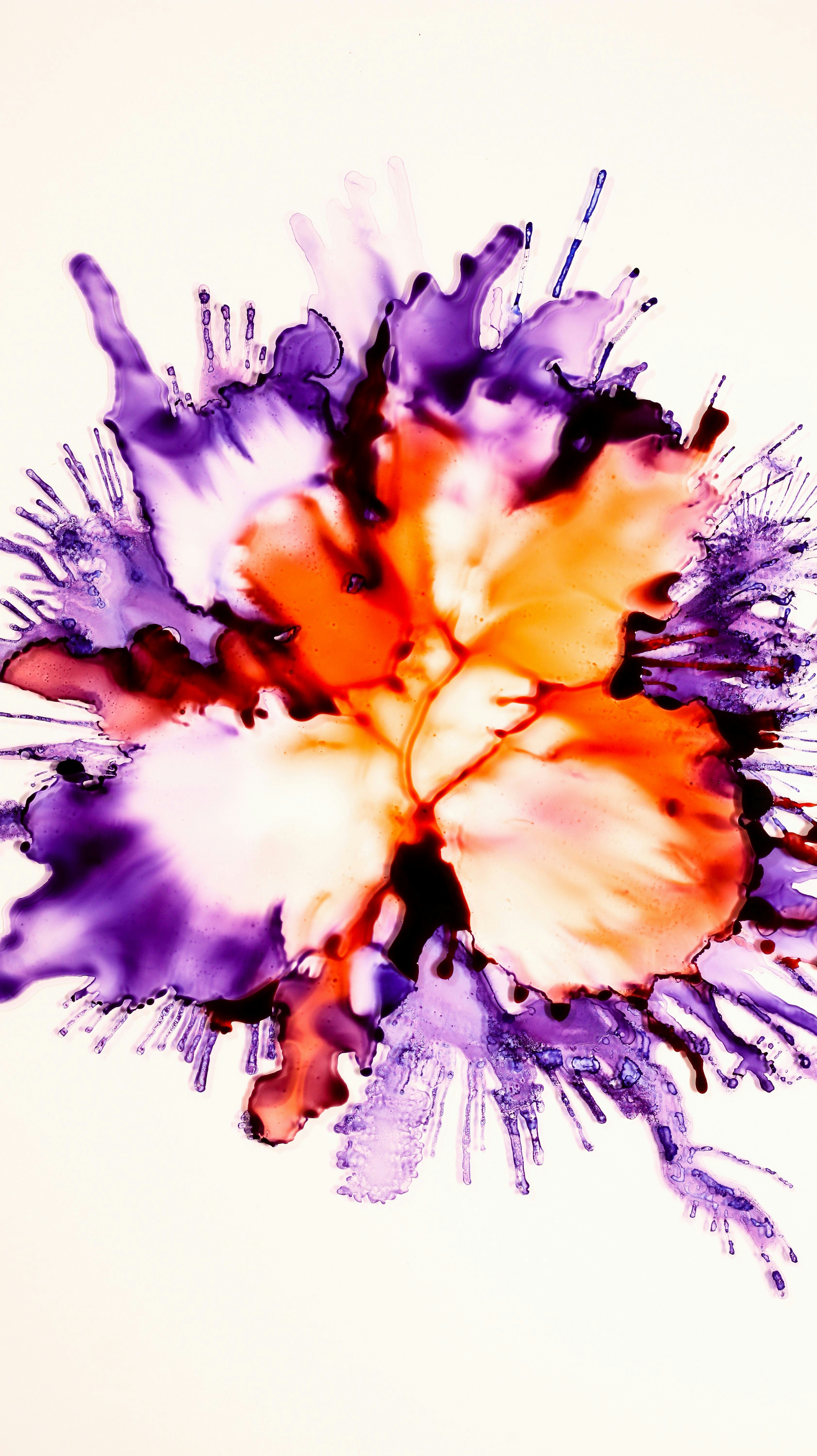 Photo by susan_wilkinson