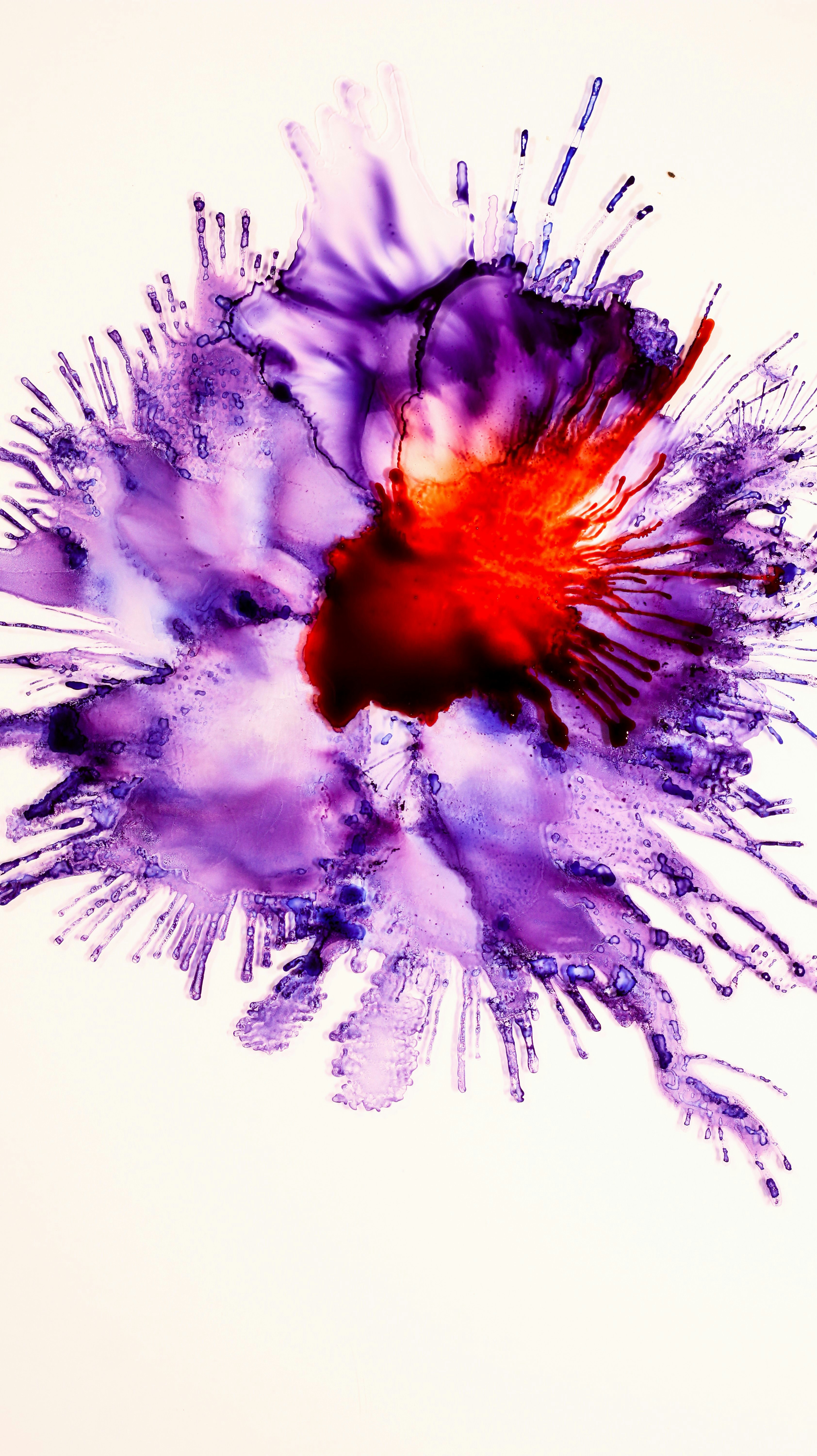 Photo by susan_wilkinson